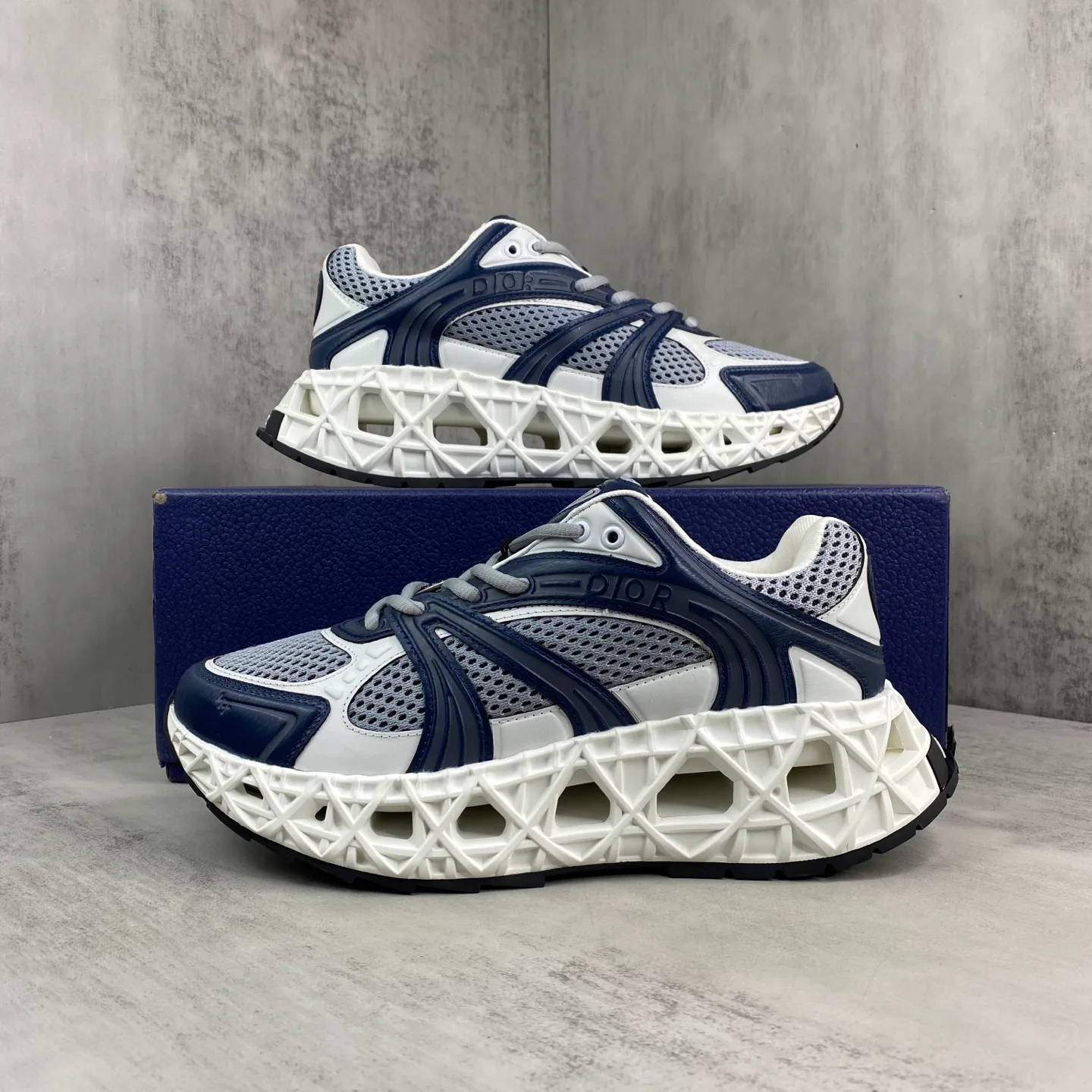 Кроссовки Женские Christian Dior 476861