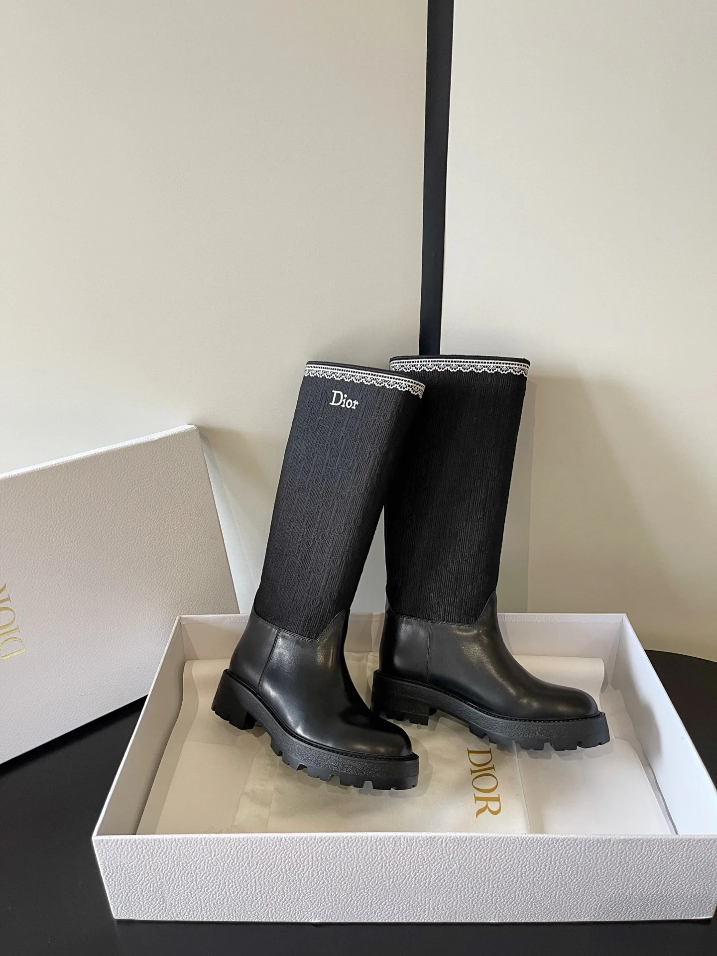Сапоги Женские Christian Dior 18234948