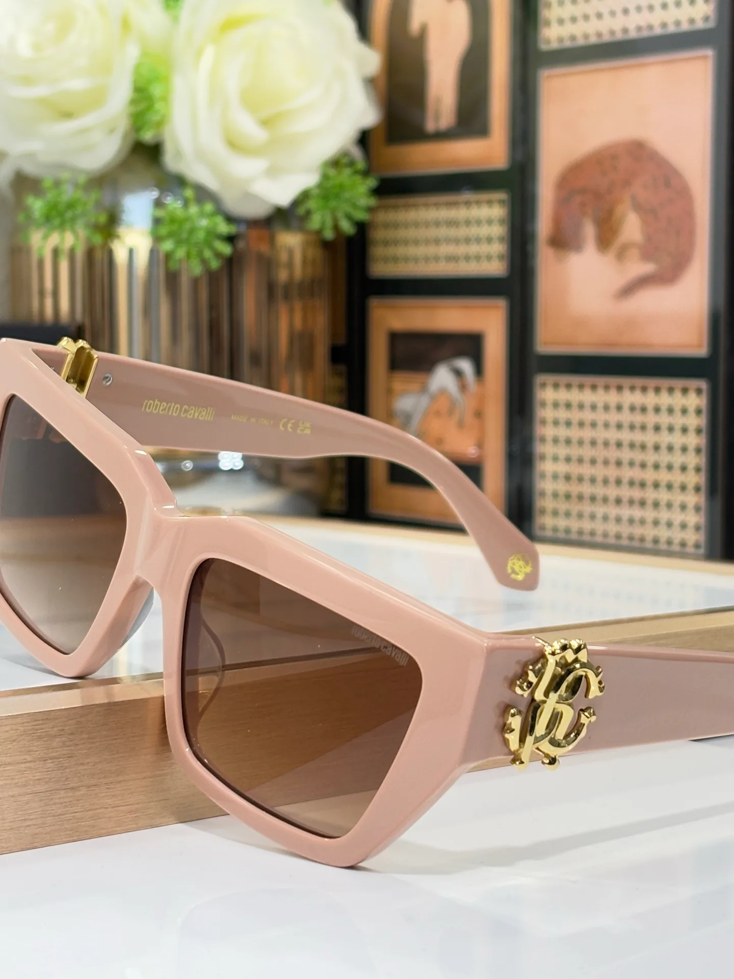 Очки Roberto Cavalli 18287035