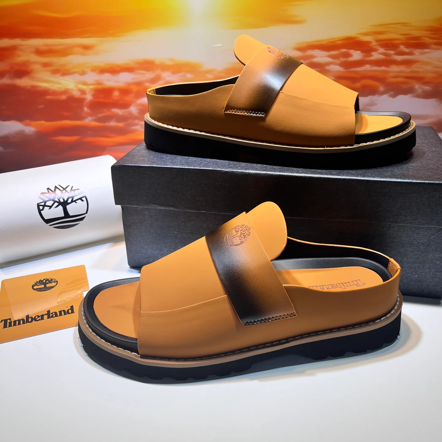 Шлепанцы Мужские Timberland 17955633