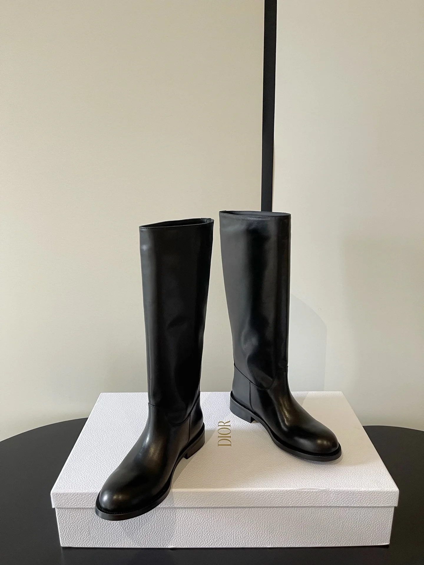 Сапоги Женские Christian Dior 18260388