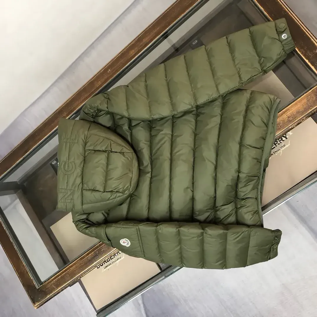 Куртки И Пуховики Мужские Moncler 552287
