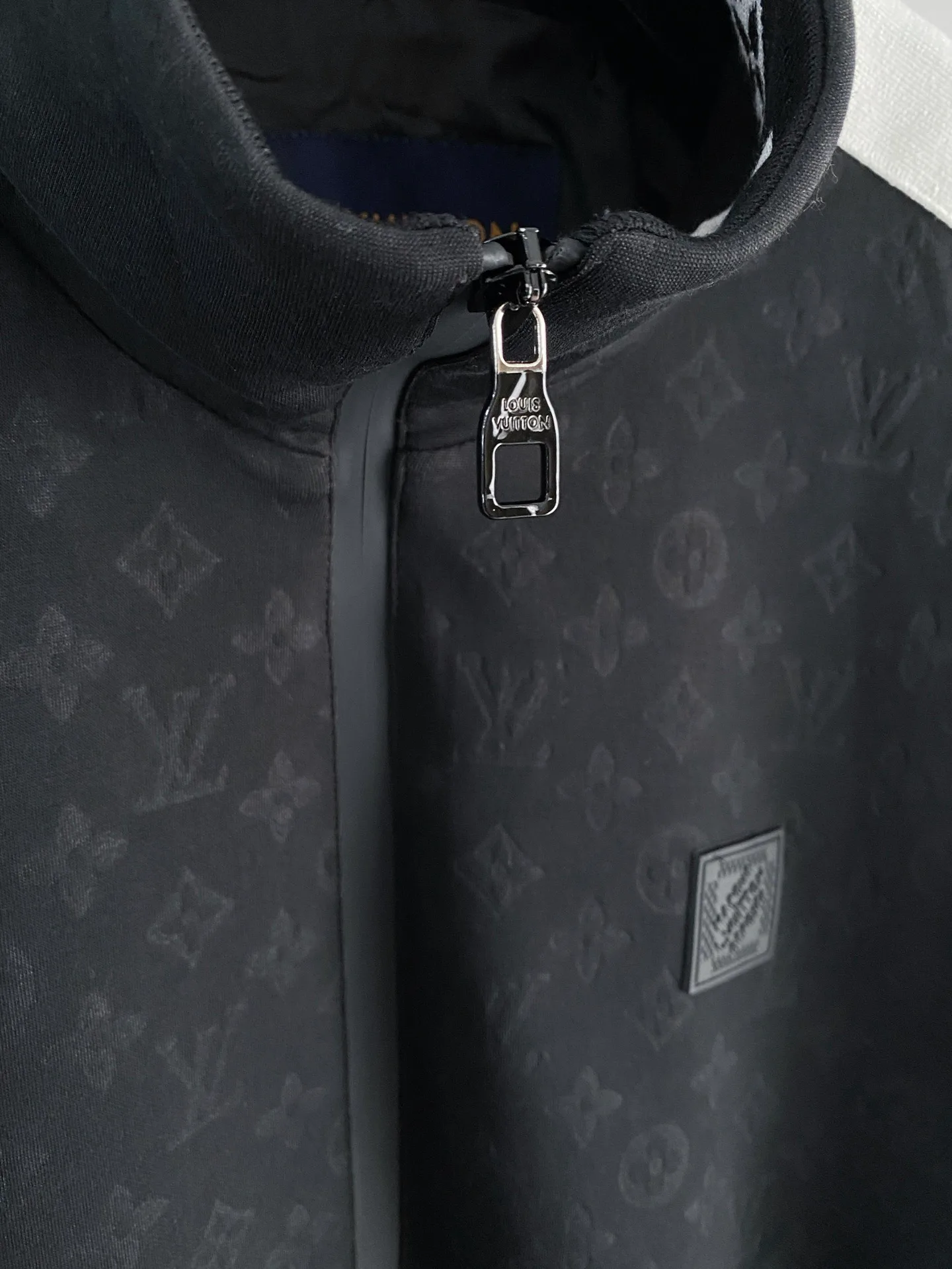 Куртки И Пуховики Мужские Louis Vuitton 11664859