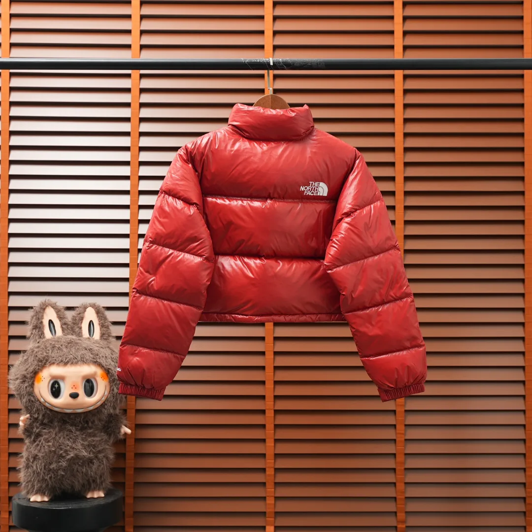 Куртки И Пуховики Женские The North Face 18455975