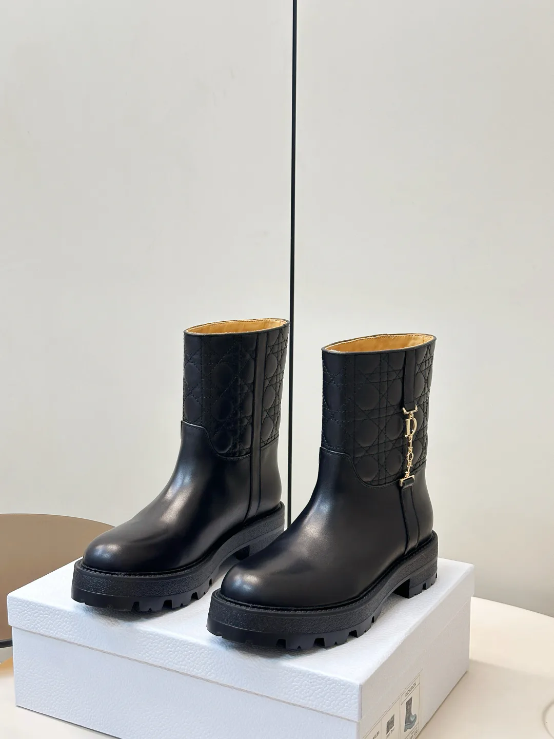 Ботинки Женские Christian Dior 18053193