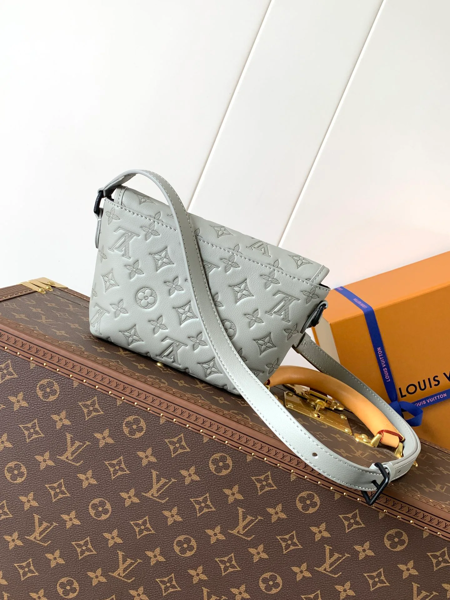 Сумки На Ремне Женские Louis Vuitton 13435236