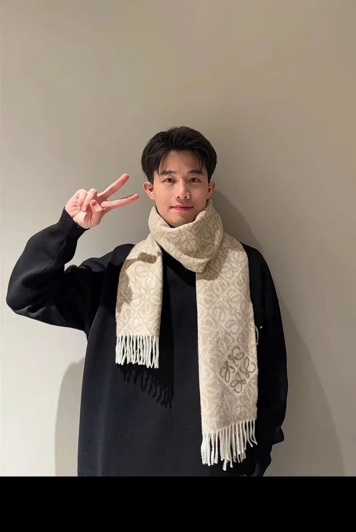 Шарфы Loewe 614912