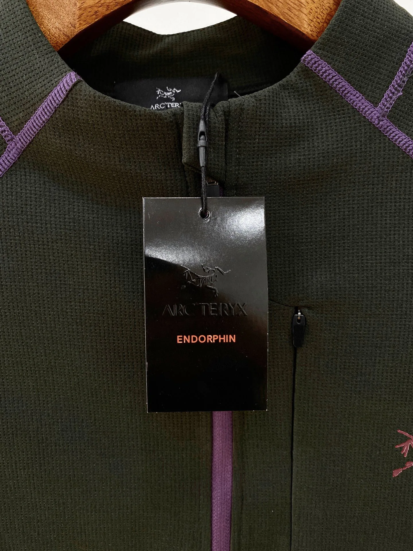 Свитшоты И Худи Мужские Arcteryx 19109847