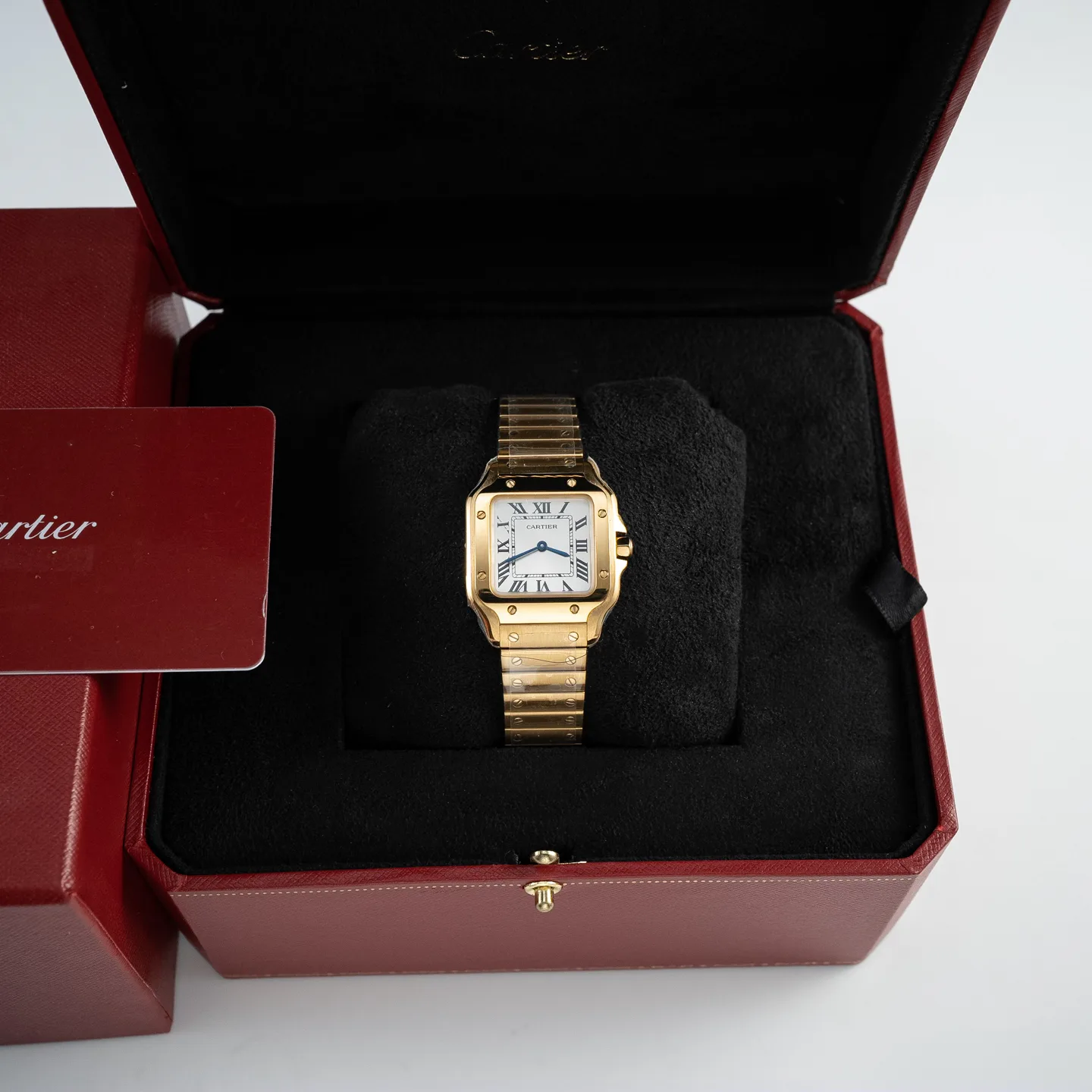 Часы Женские Cartier 9892601
