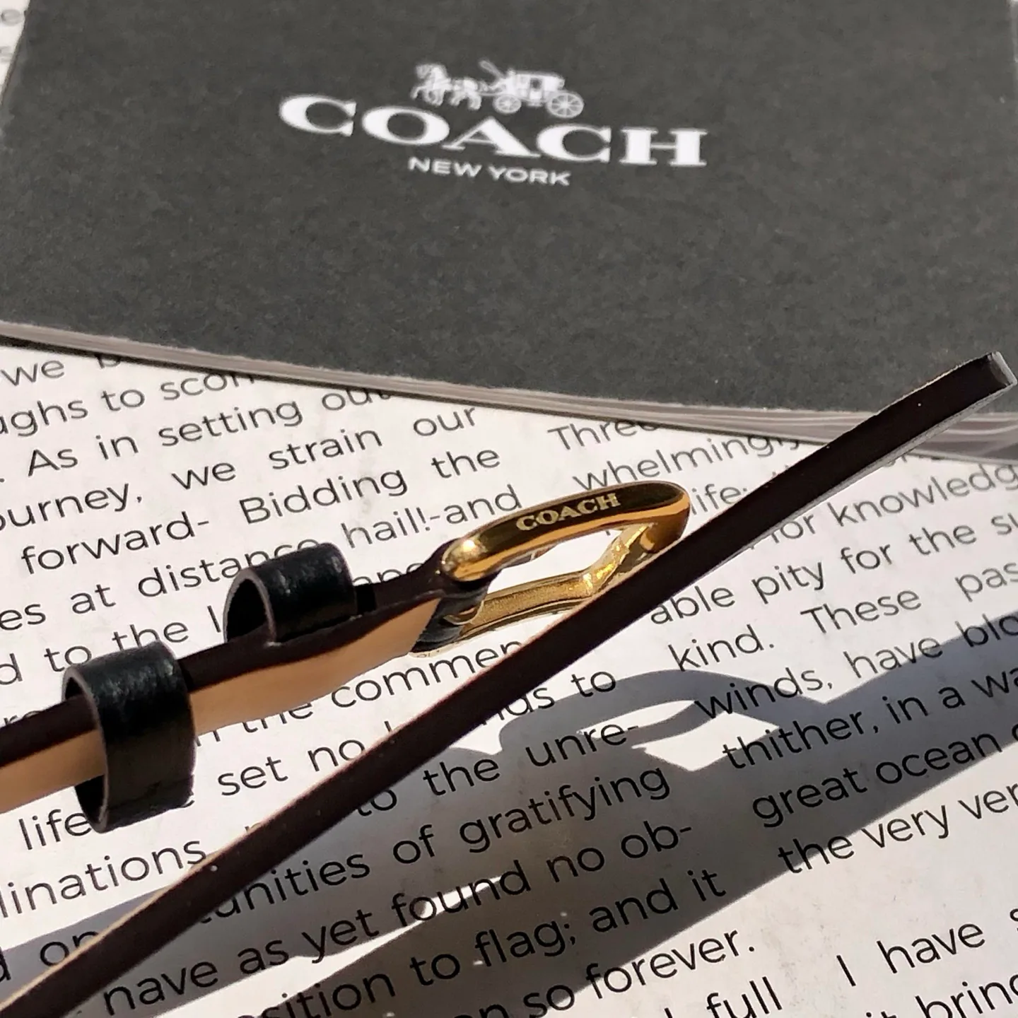 Часы Женские Coach 449051