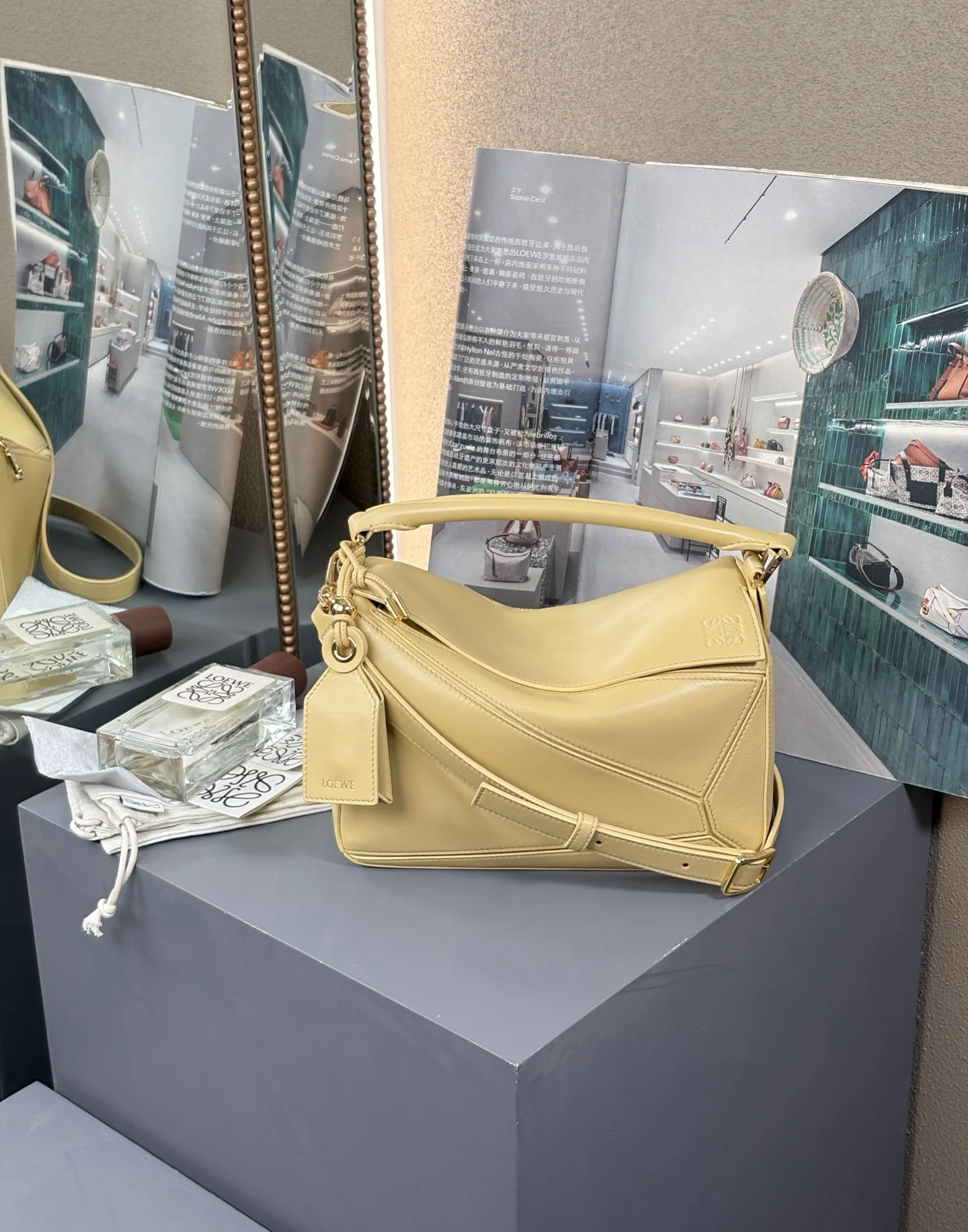 Сумки На Ремне Женские Loewe 115450