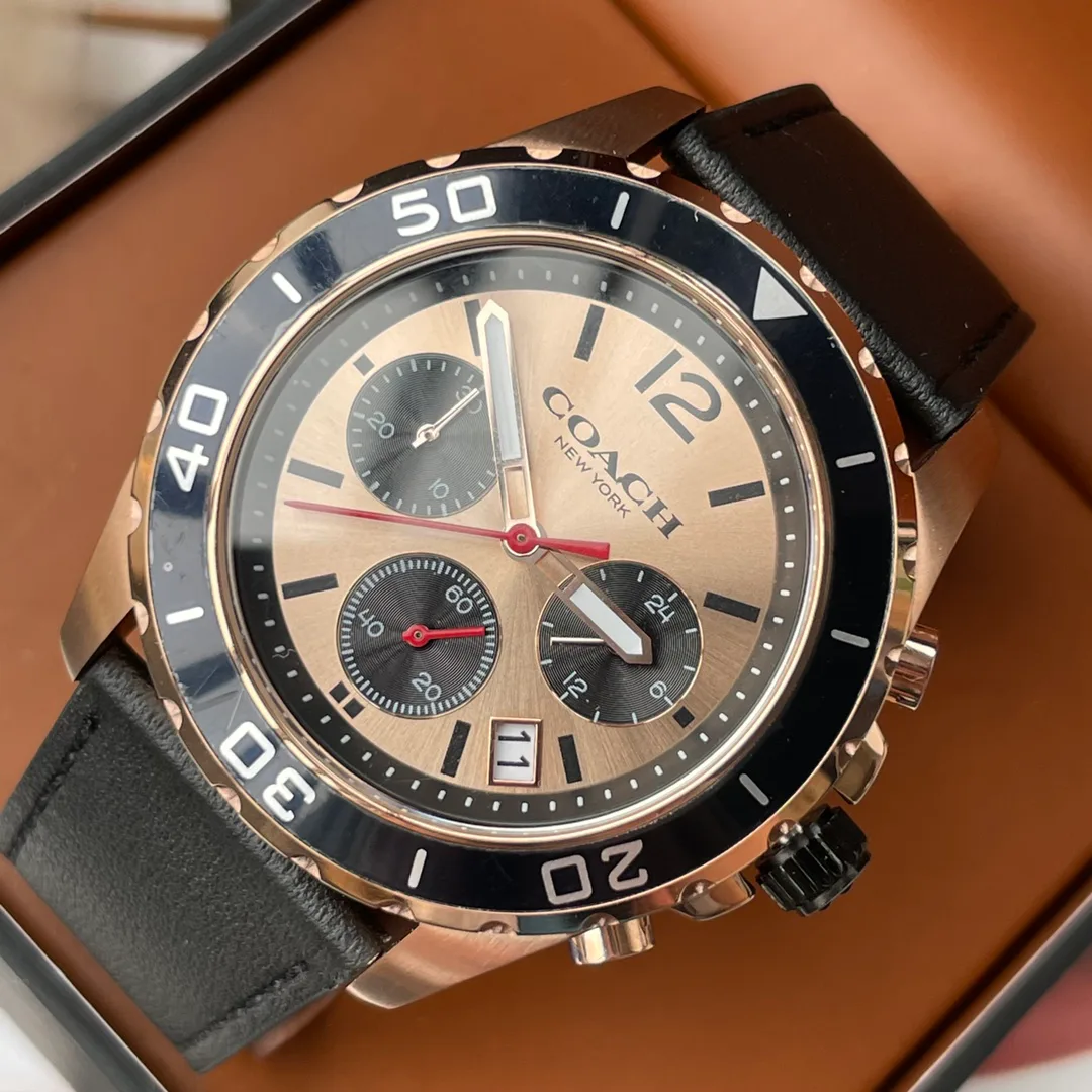 Часы Мужские Coach 1880643
