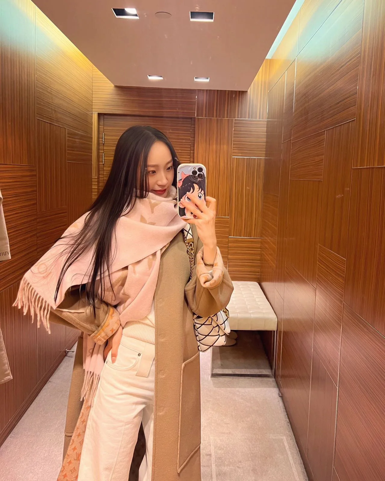 Шарфы Louis Vuitton 4488