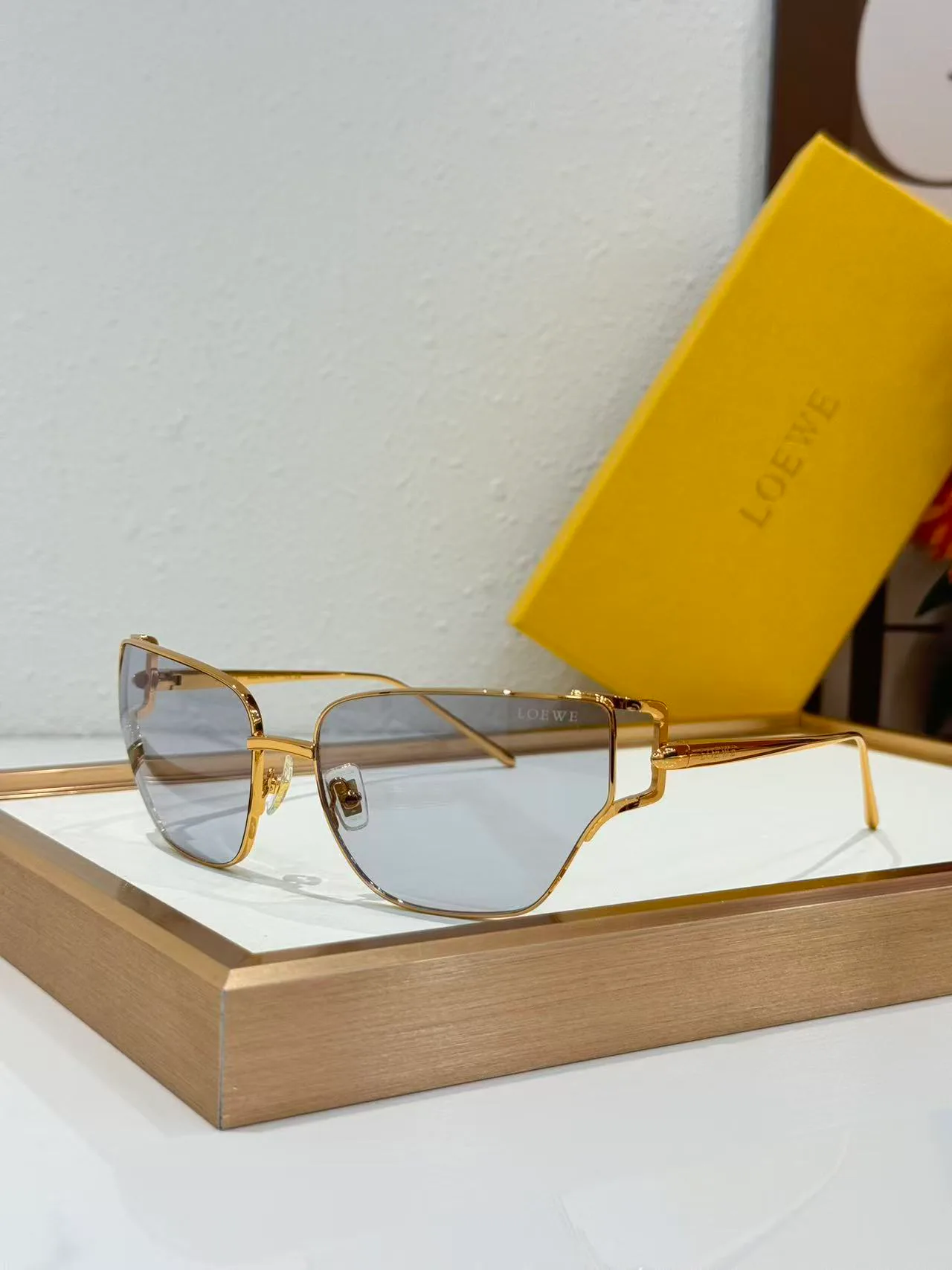 Очки Loewe 18226201