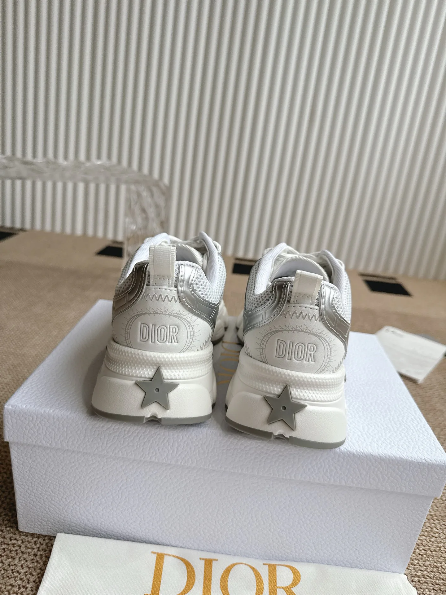 Кроссовки Женские Christian Dior 2792778