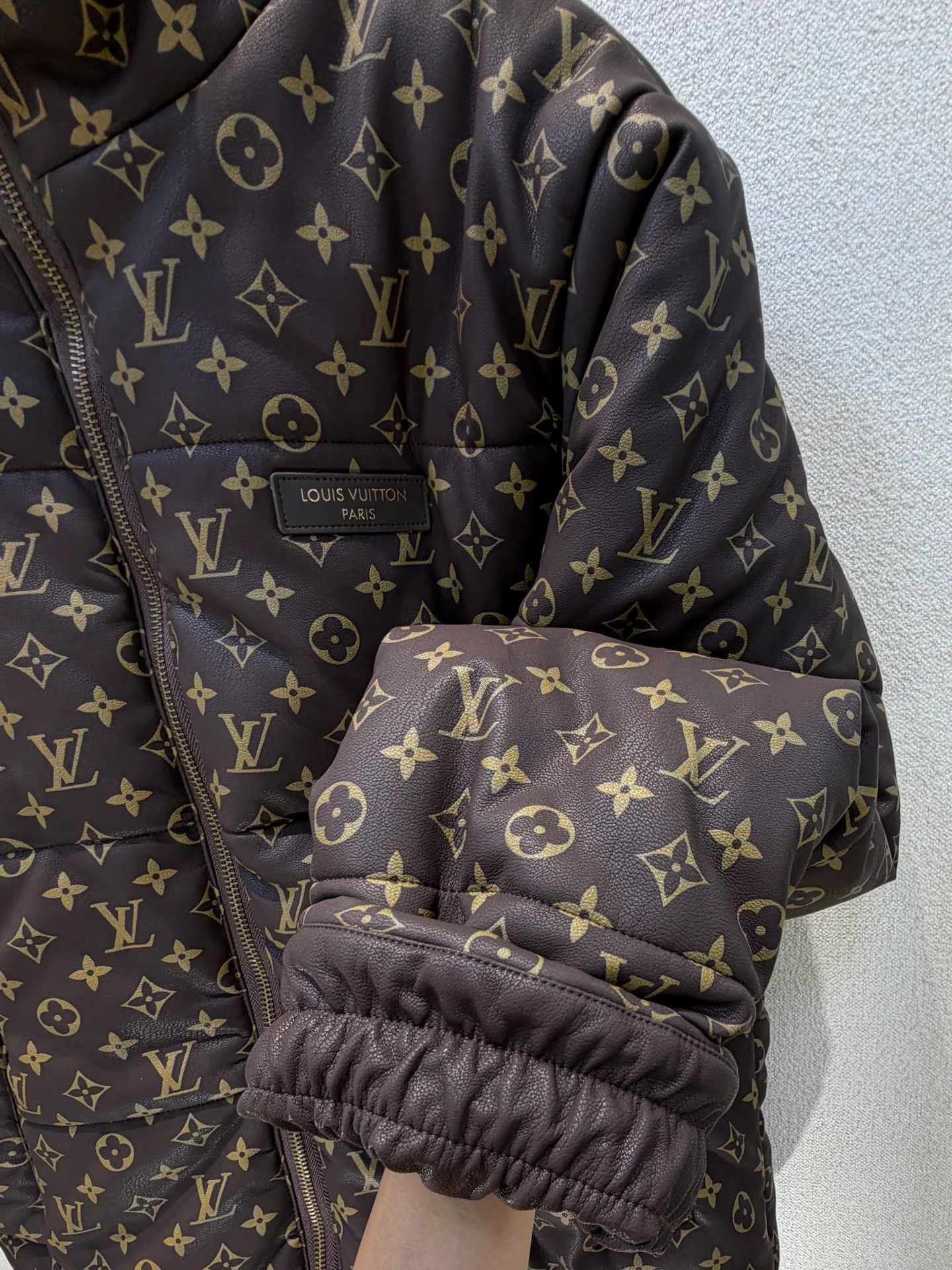 Куртки И Пуховики Женские Louis Vuitton 20148211