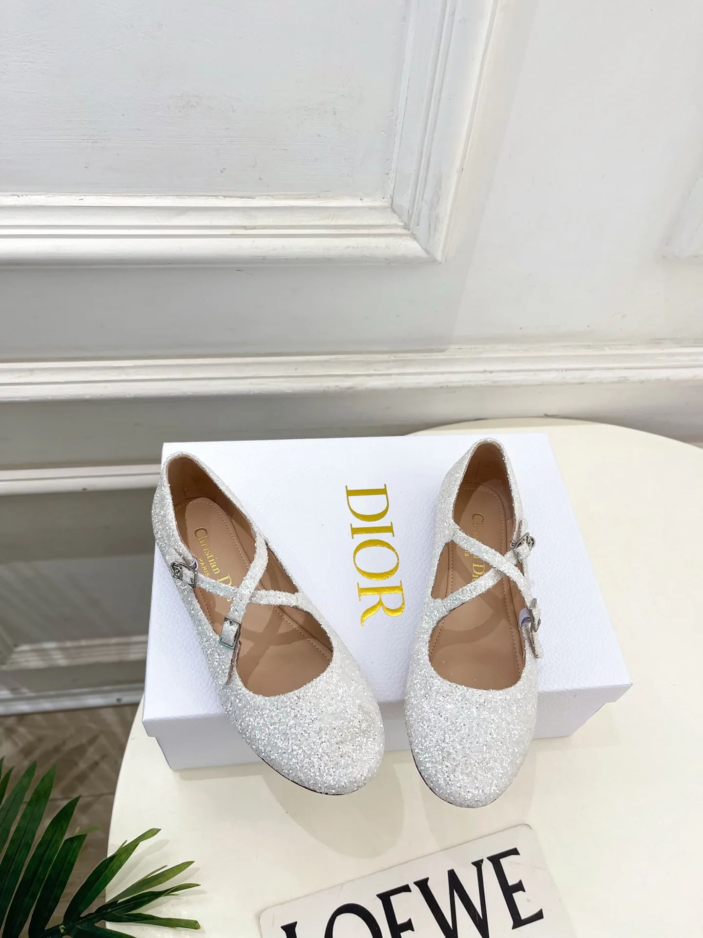 Балетки Женские Christian Dior 12601475