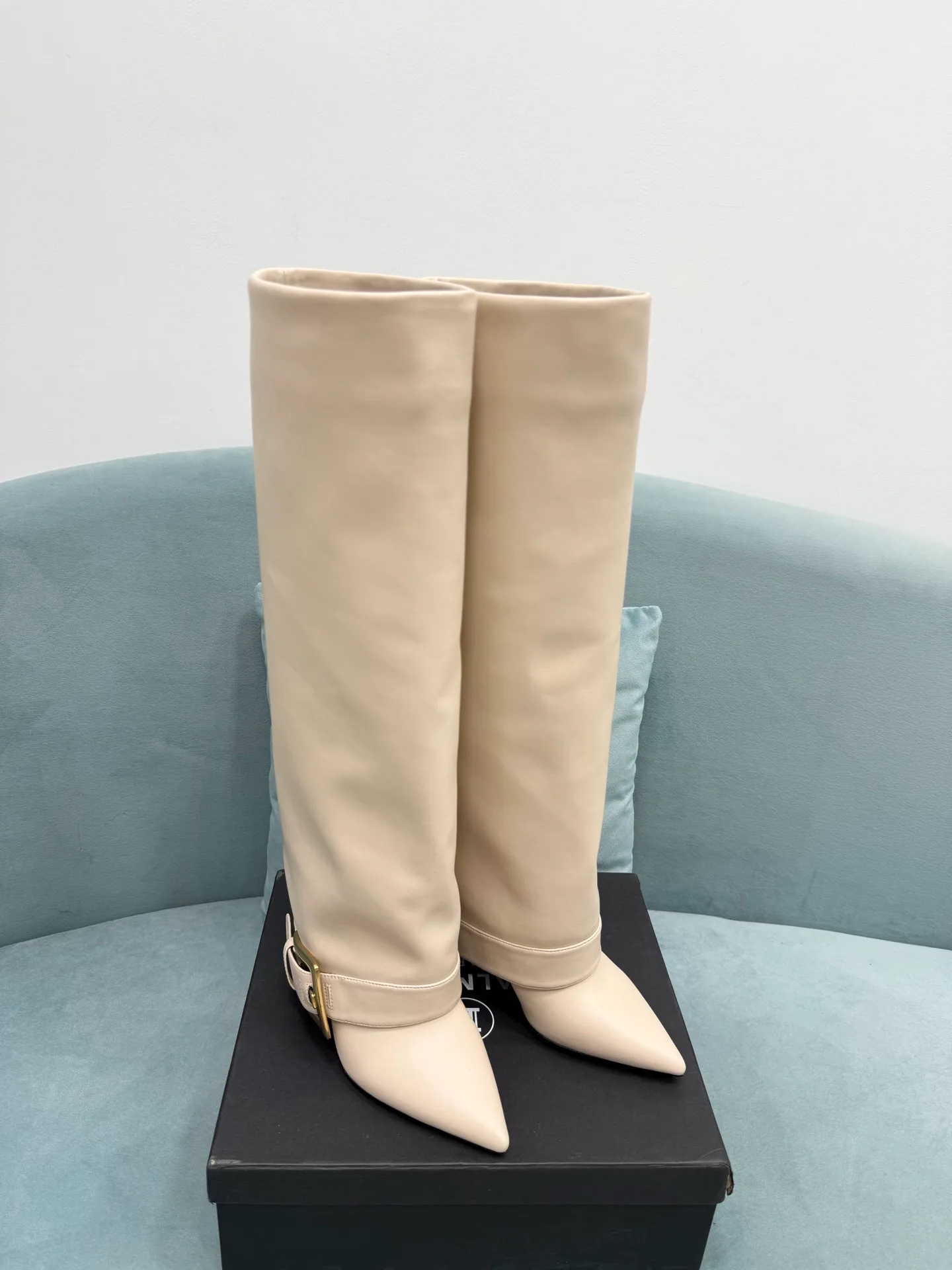 Сапоги Женские Balmain 785280