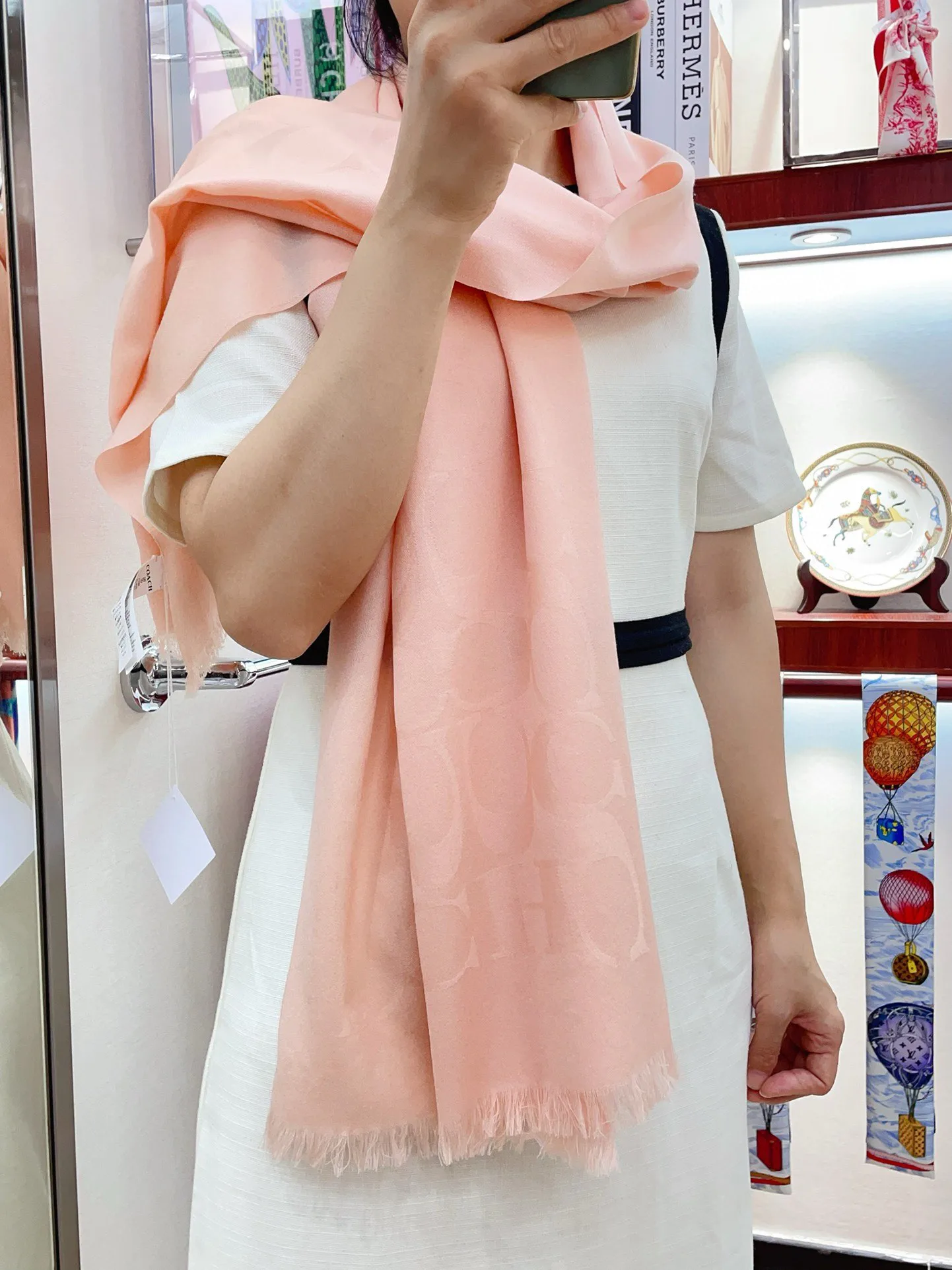 Шарфы Loewe 2241