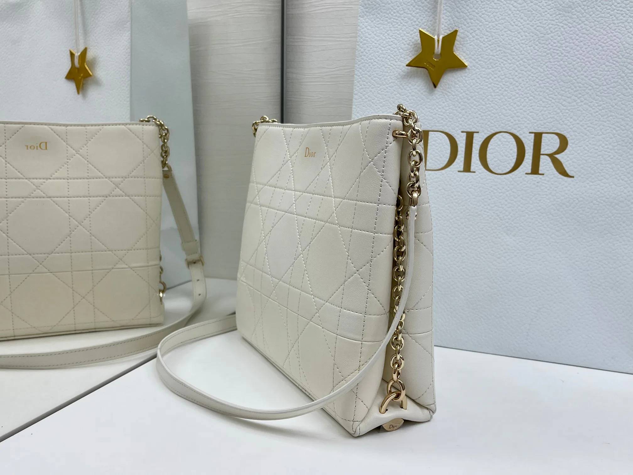 Классические Сумки Женские Christian Dior 13349530