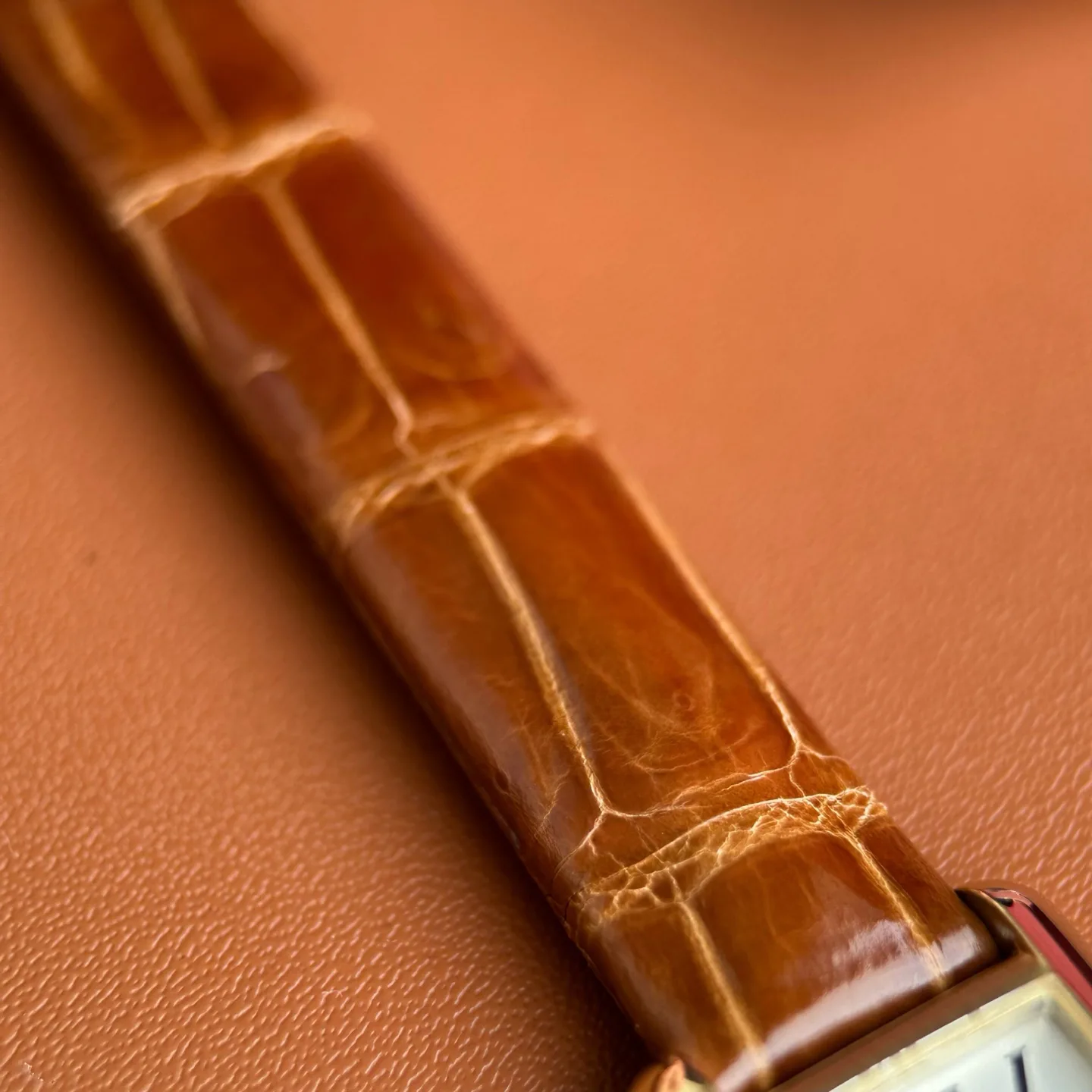 Часы Женские Cartier 11446034