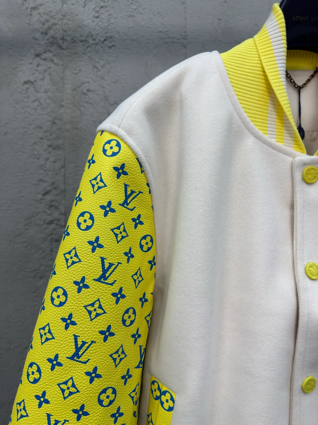 Куртки И Пуховики Женские Louis Vuitton 31384