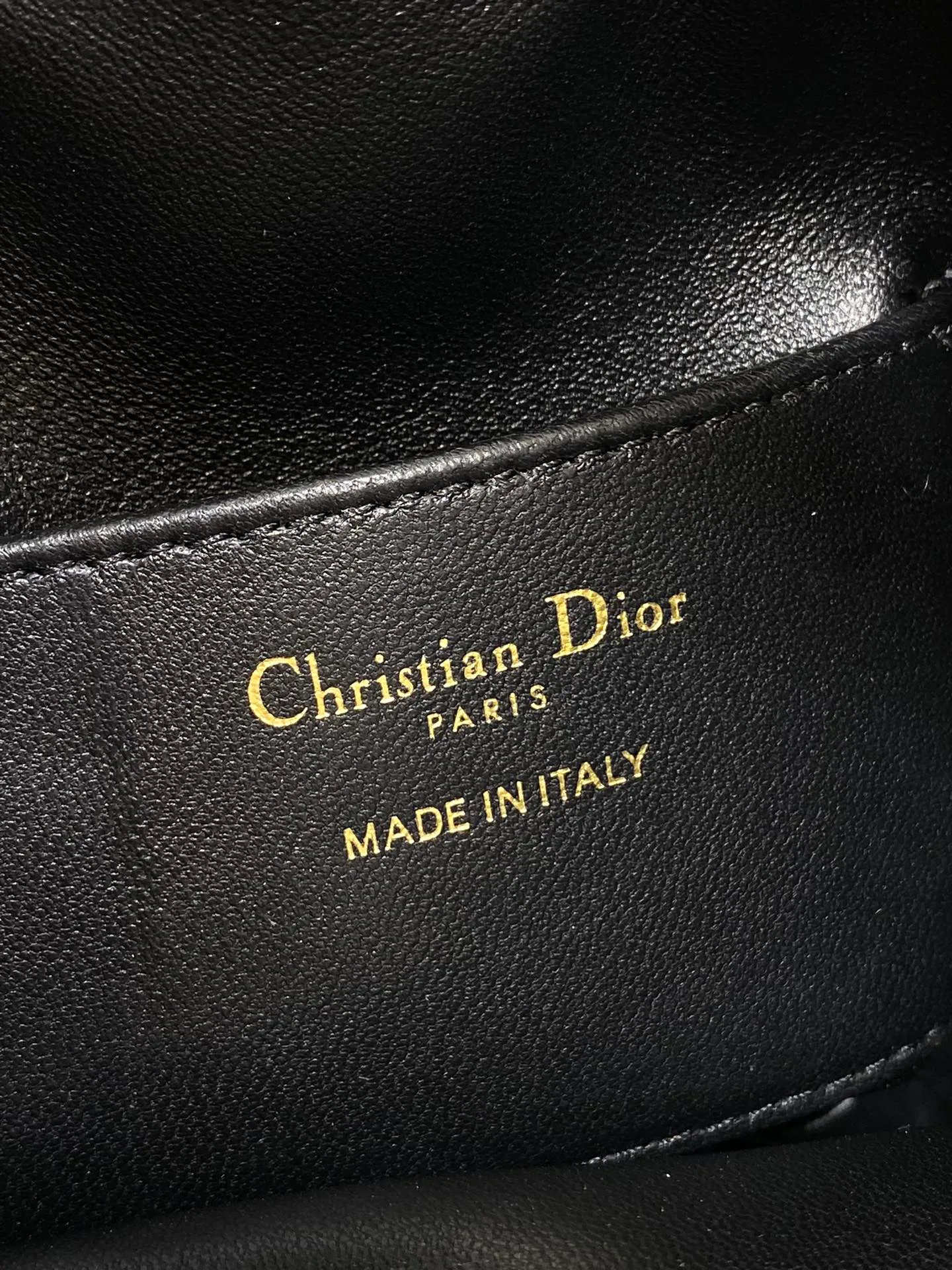 Сумки На Ремне Женские Christian Dior 225634