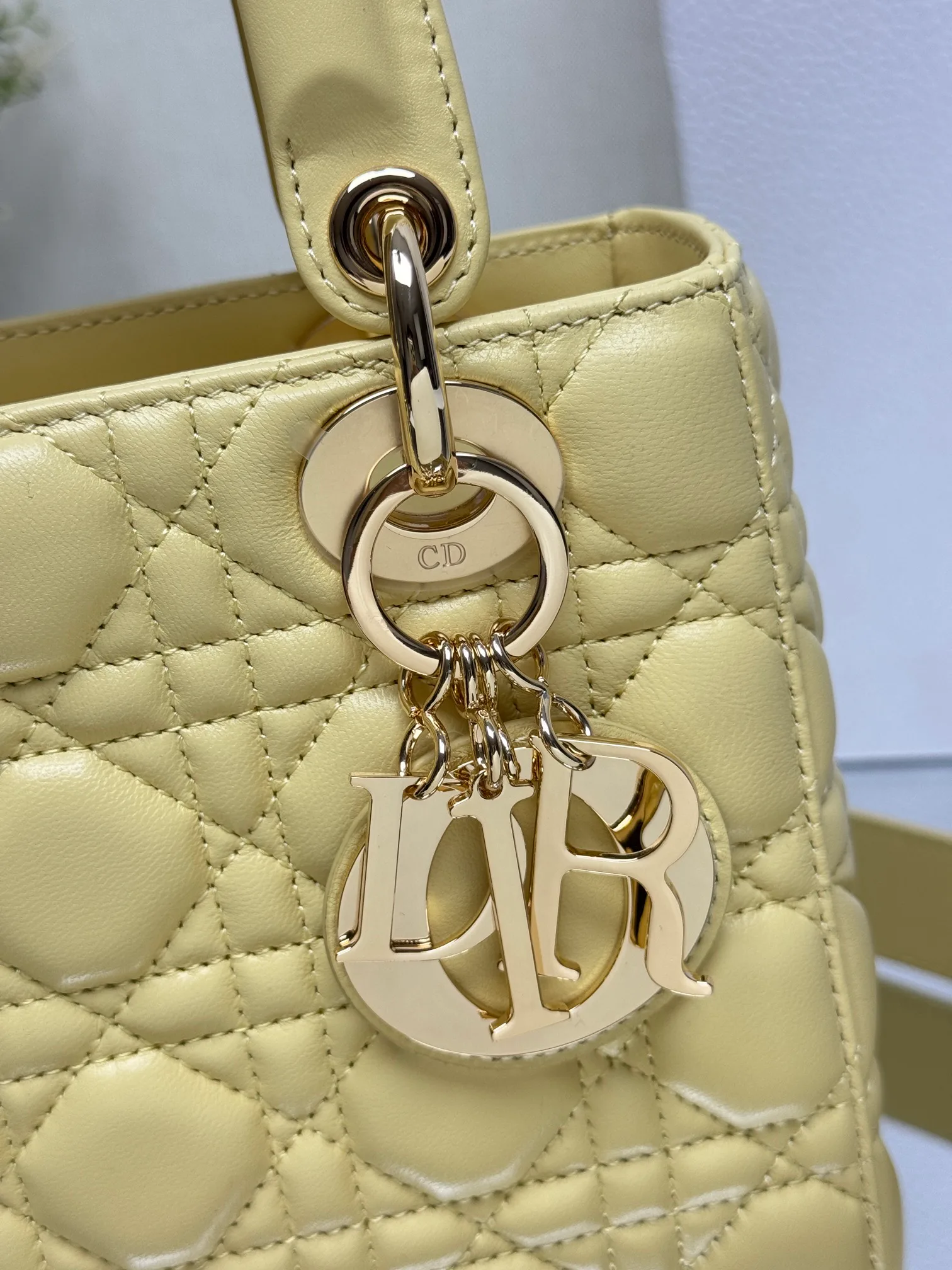 Классические Сумки Женские Christian Dior 17601465