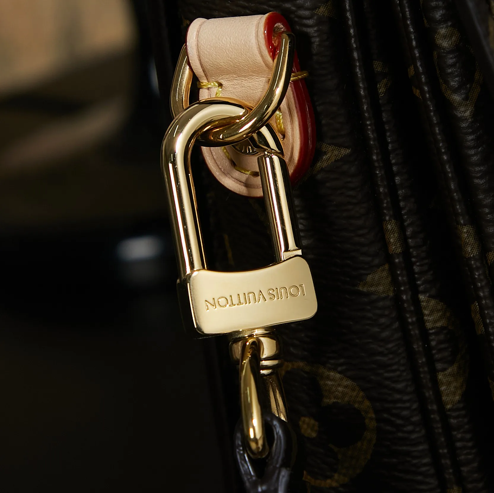 Сумки На Ремне Женские Louis Vuitton 690793