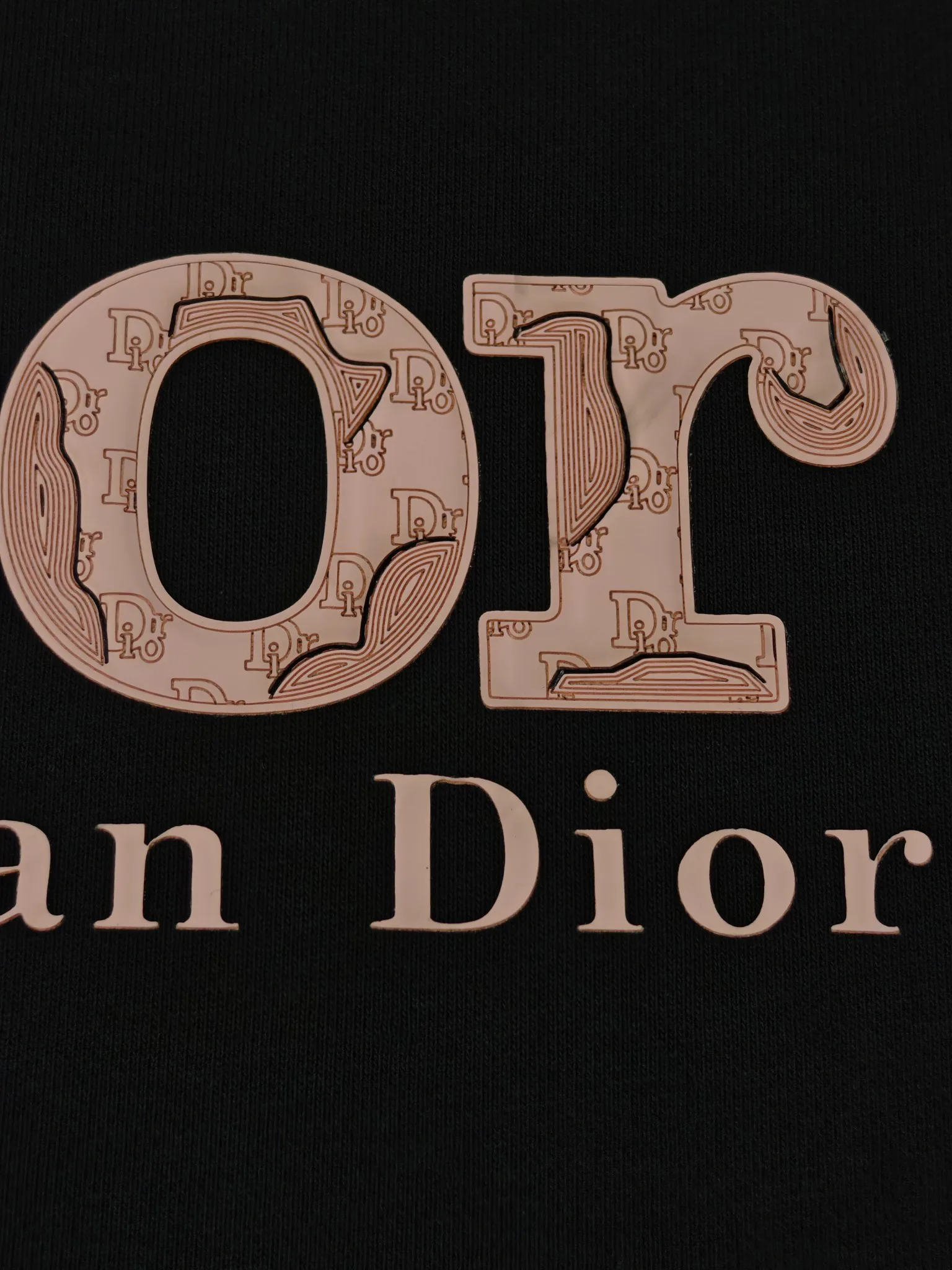 Свитшоты И Худи Мужские Christian Dior 513732