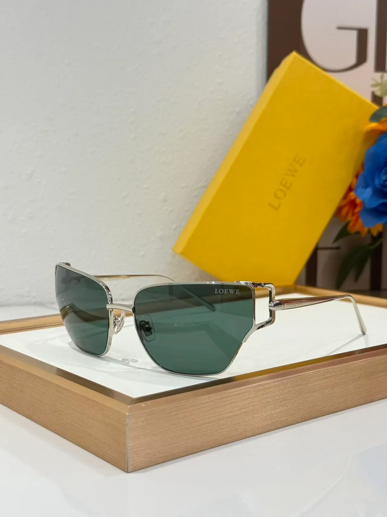Очки Loewe 18226201