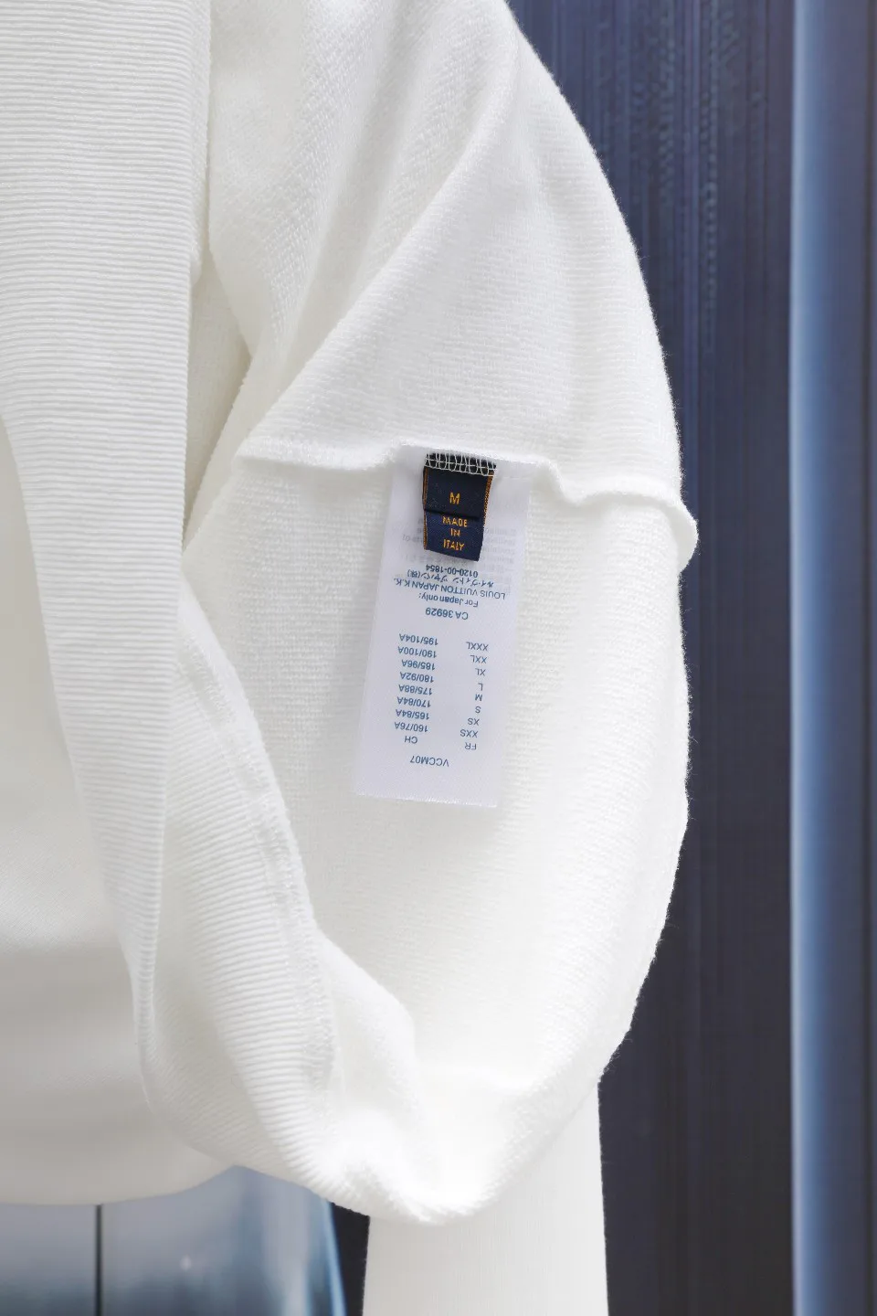 Свитшоты И Худи Мужские Louis Vuitton 3019