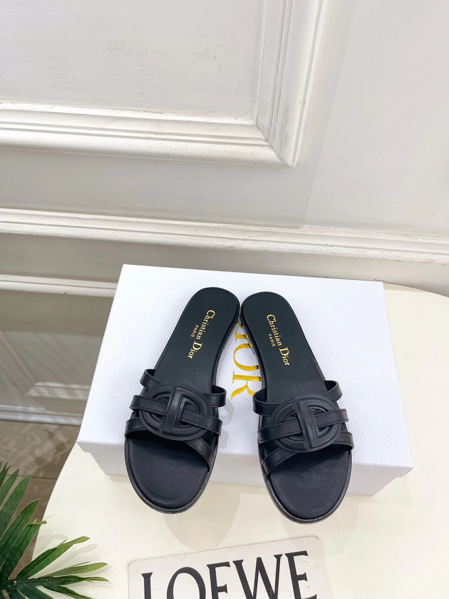 Туфли Женские Christian Dior 12601462