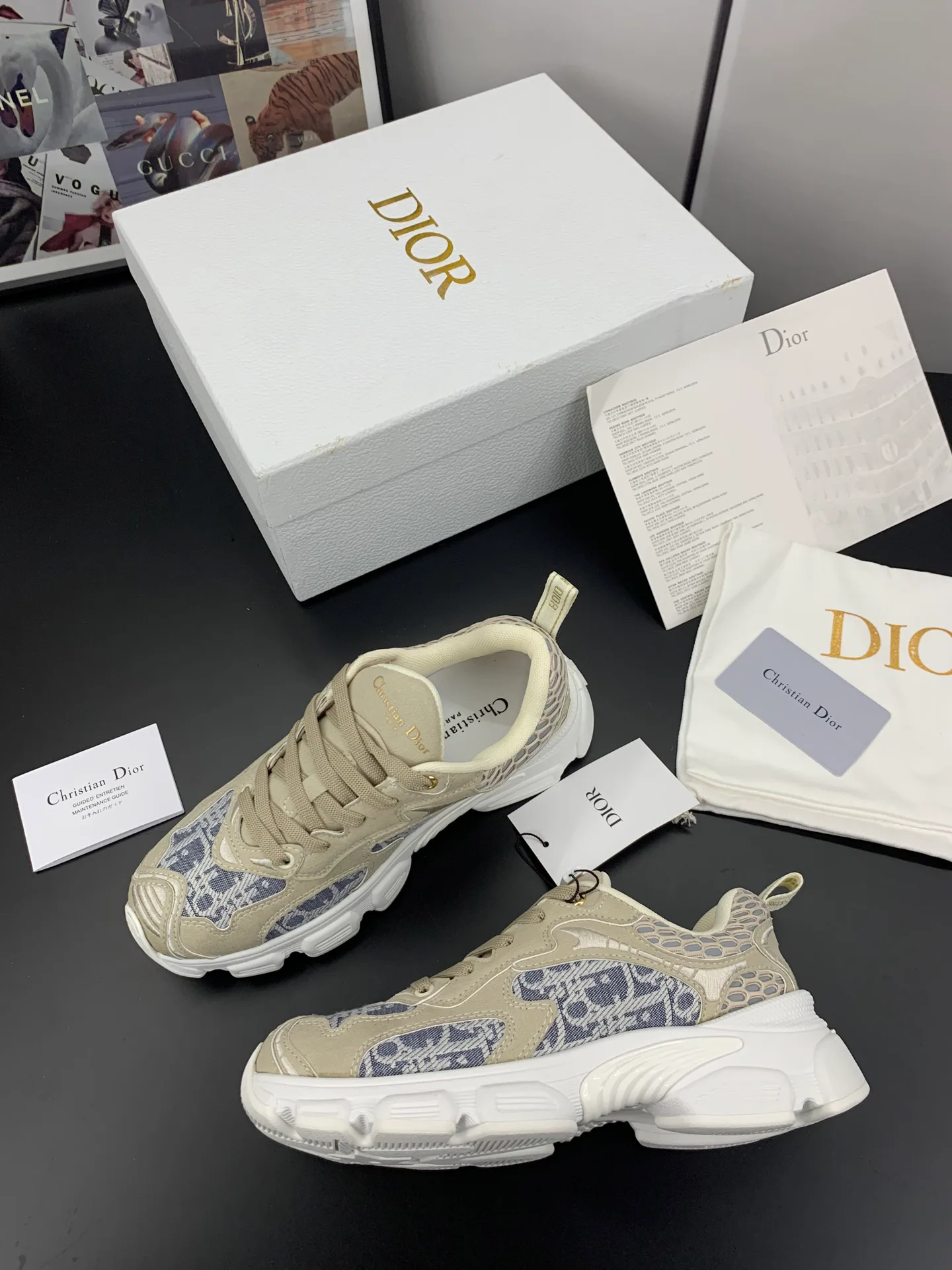 Кроссовки Женские Christian Dior 17545284