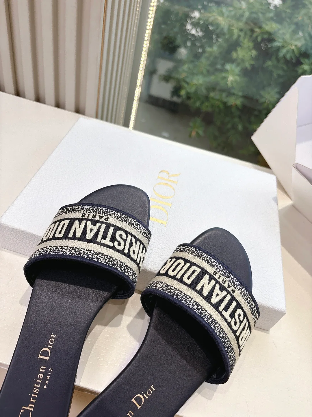 Шлепанцы Женские Christian Dior 1156190