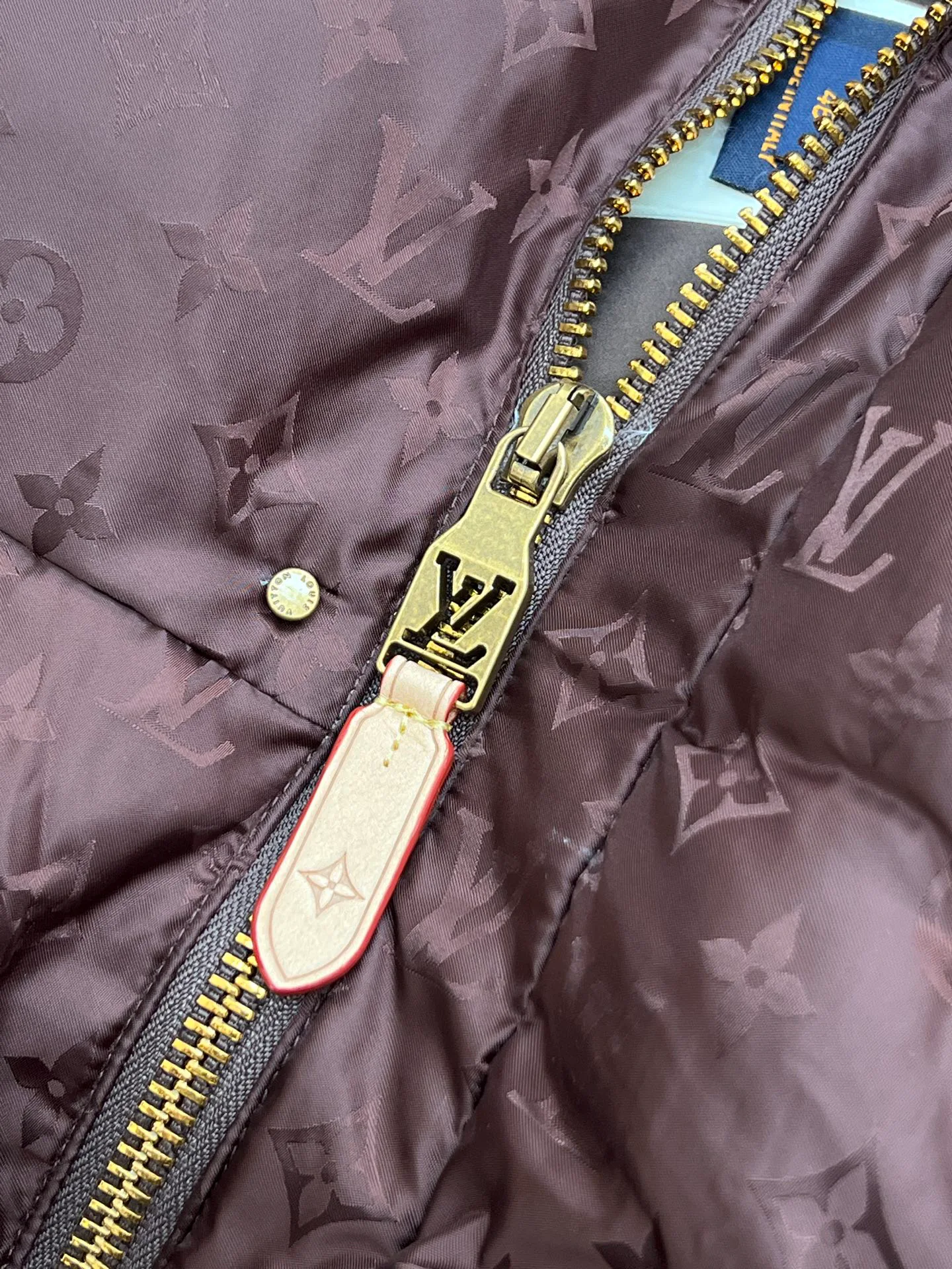 Куртки Мужские Louis Vuitton 169530