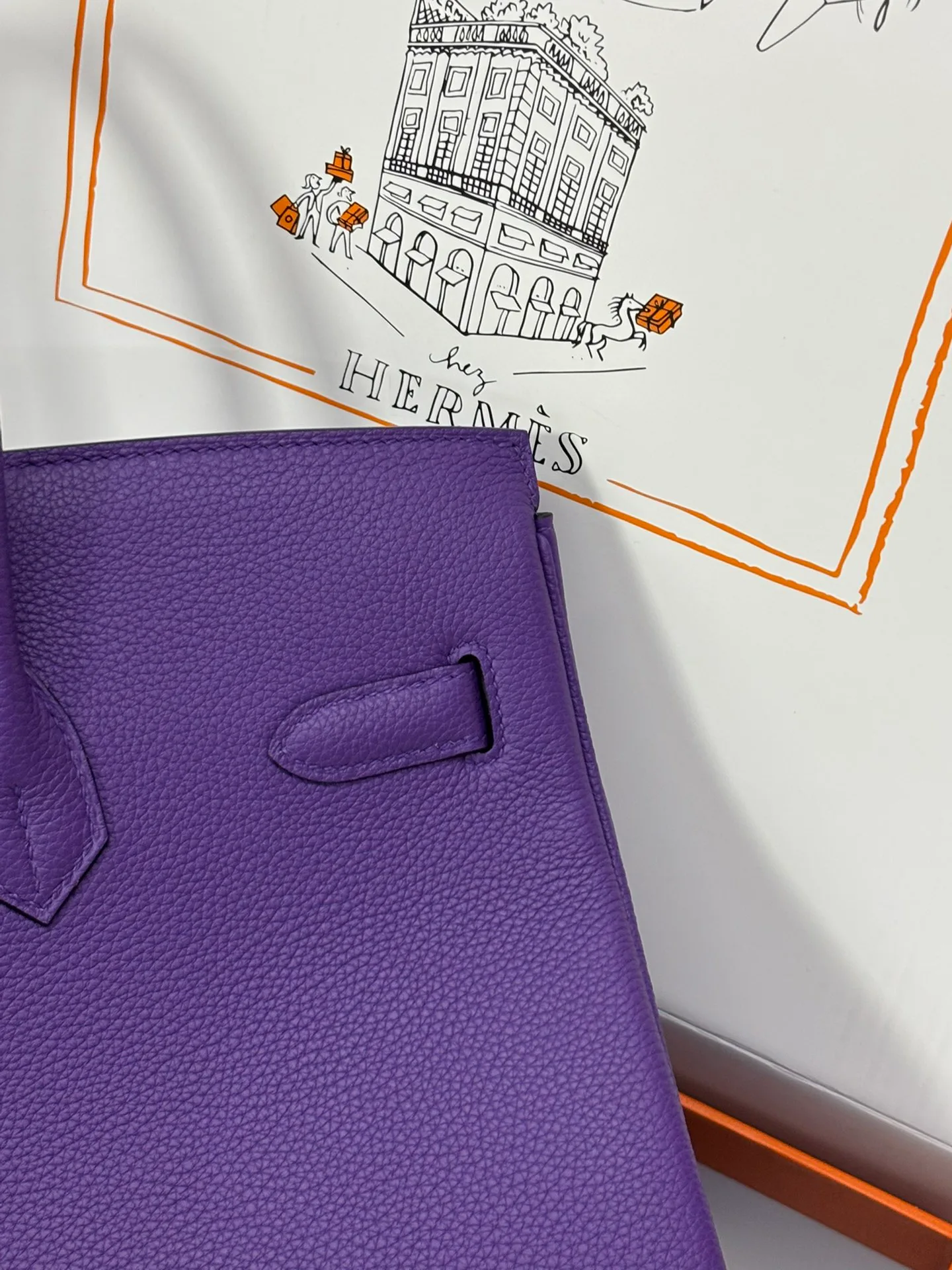 Классические Сумки Женские Hermes 801466