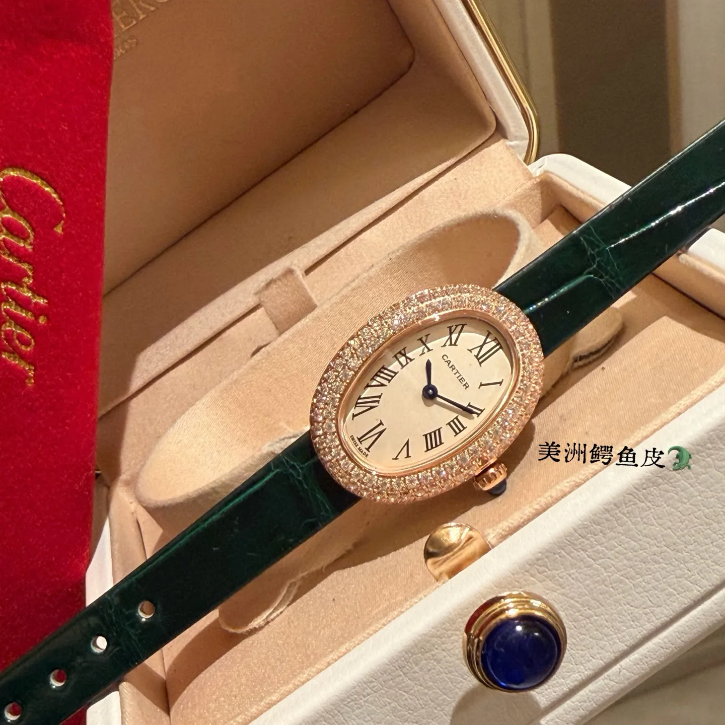 Часы Женские Cartier 596179