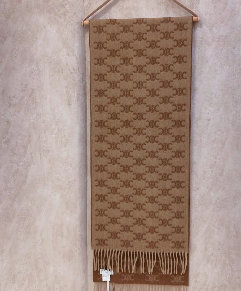 Шарфы Celine 590079