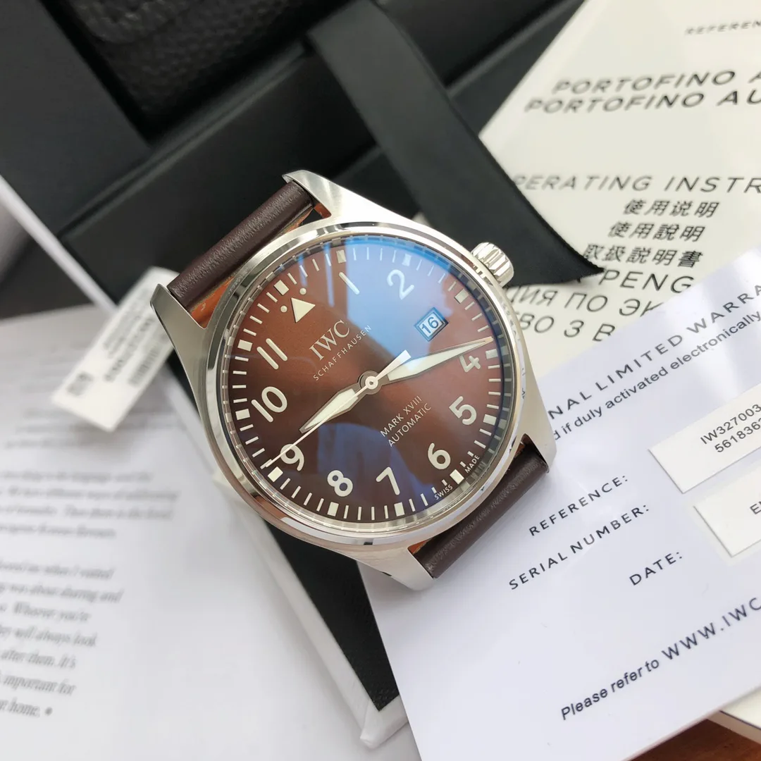 Часы Мужские Iwc 187138