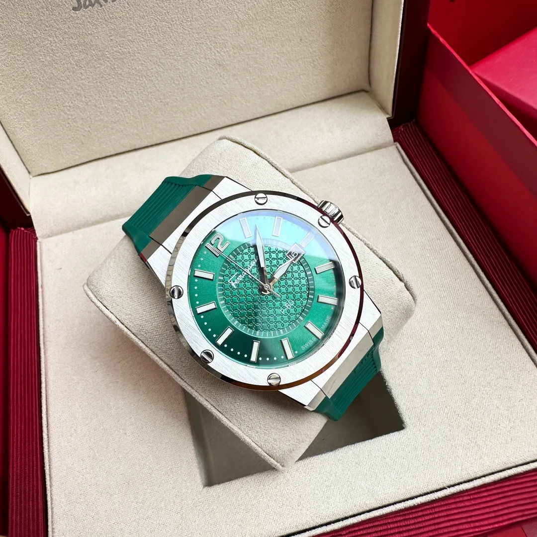 Часы Мужские Salvatore Ferragamo 1284240