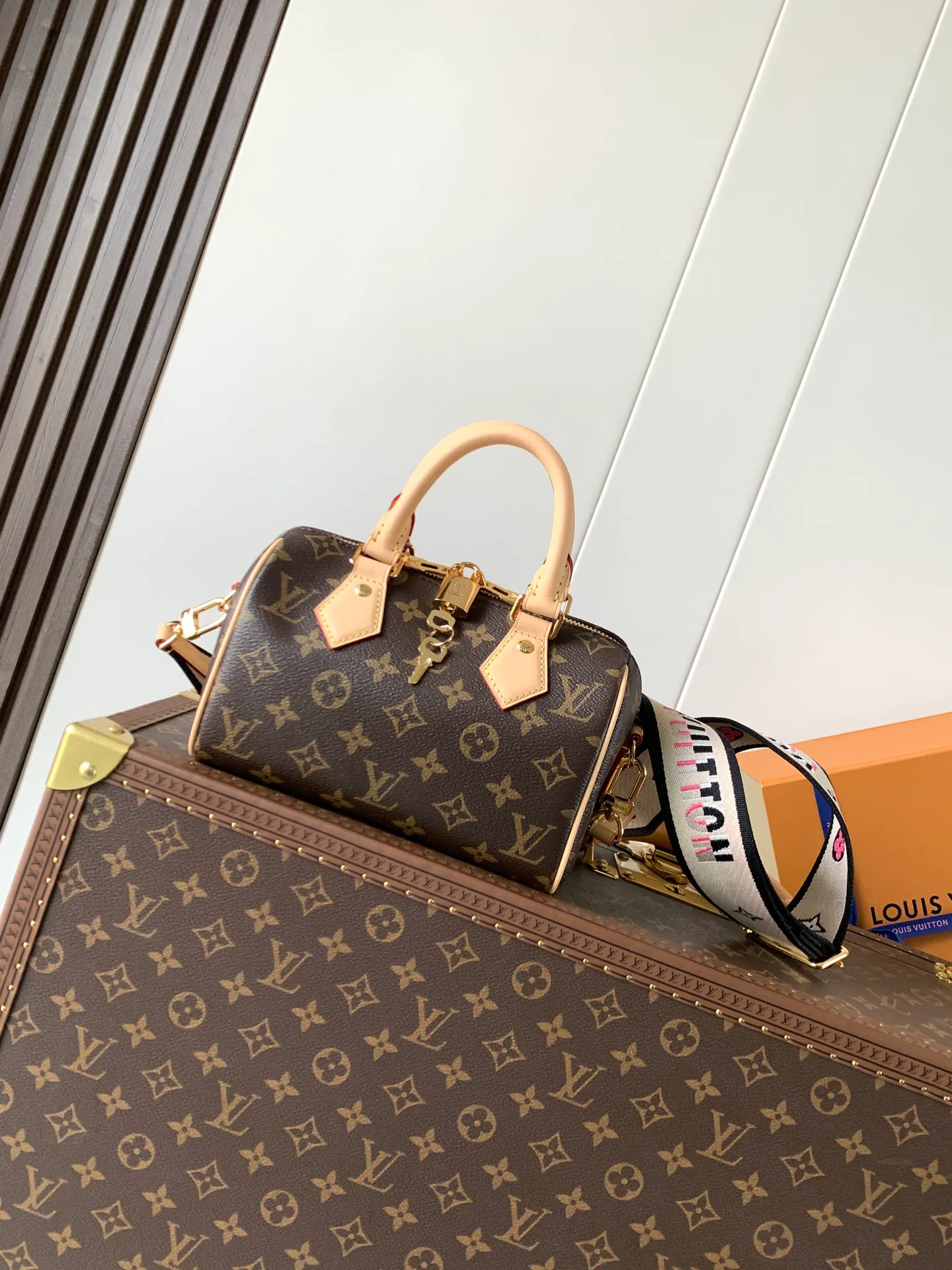 Сумки На Ремне Женские Louis Vuitton 11394868