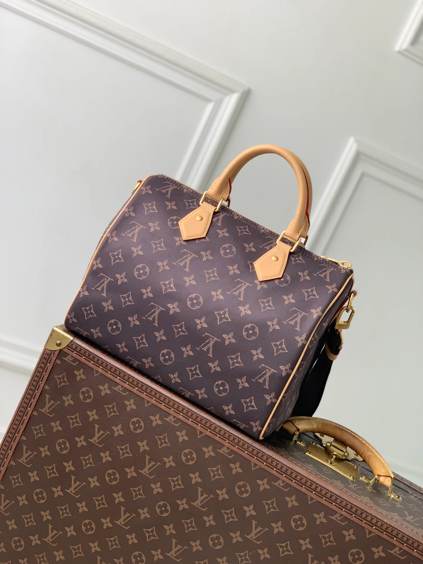 Классические Сумки Женские Louis Vuitton 18147469