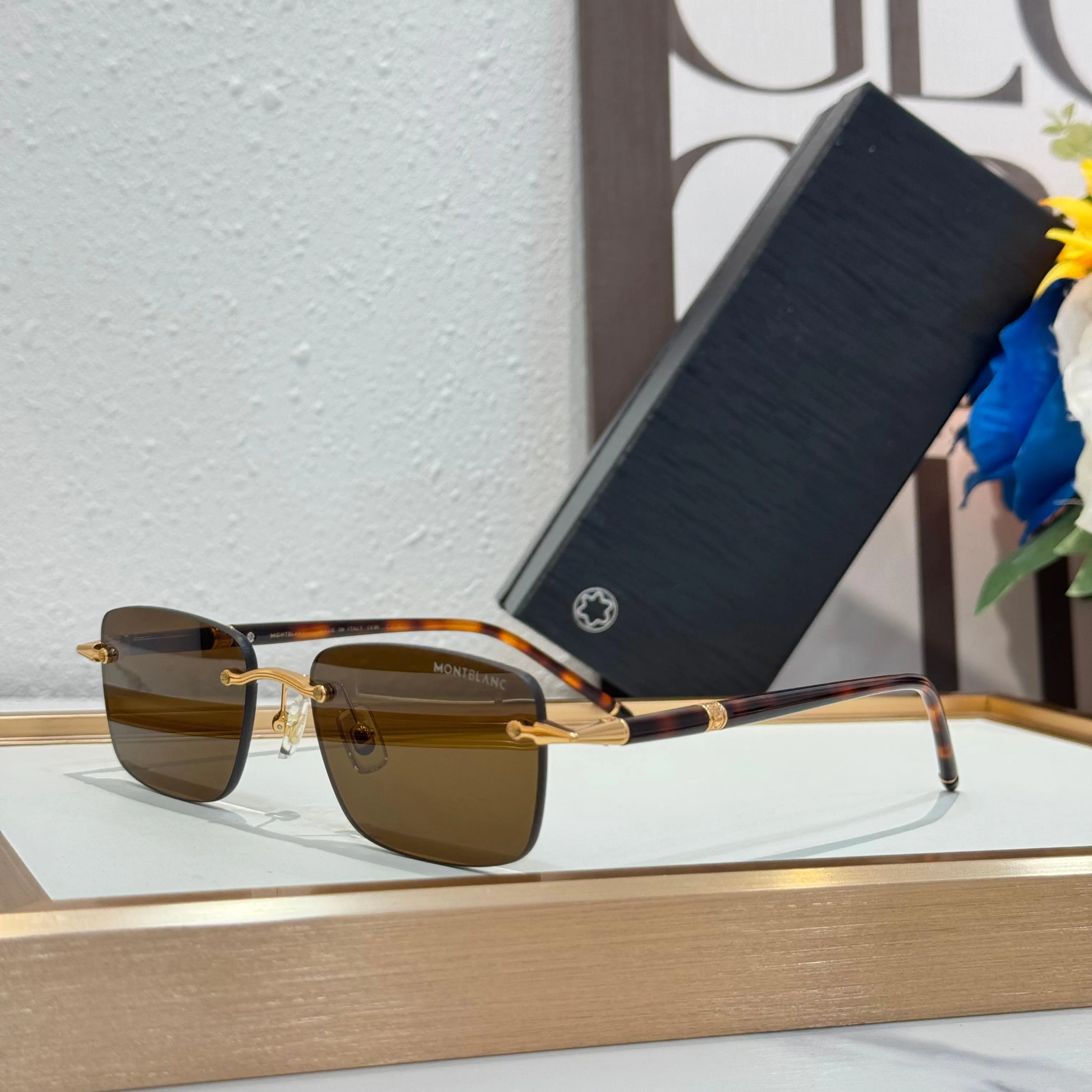 Очки Montblanc 113151