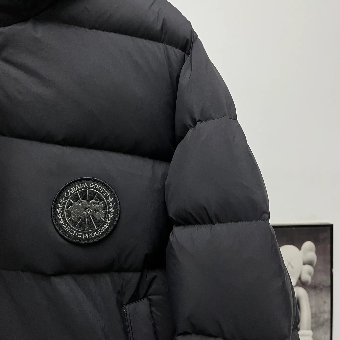 Куртки И Пуховики Женские Canada Goose 18741207