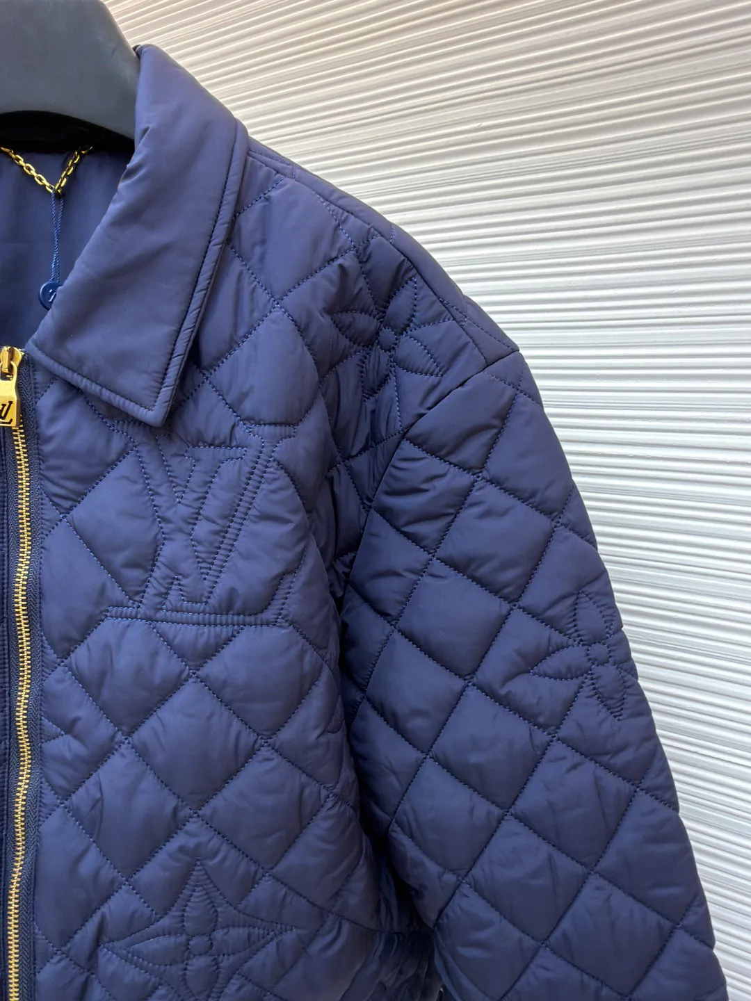 Куртки И Пуховики Мужские Louis Vuitton 6352624
