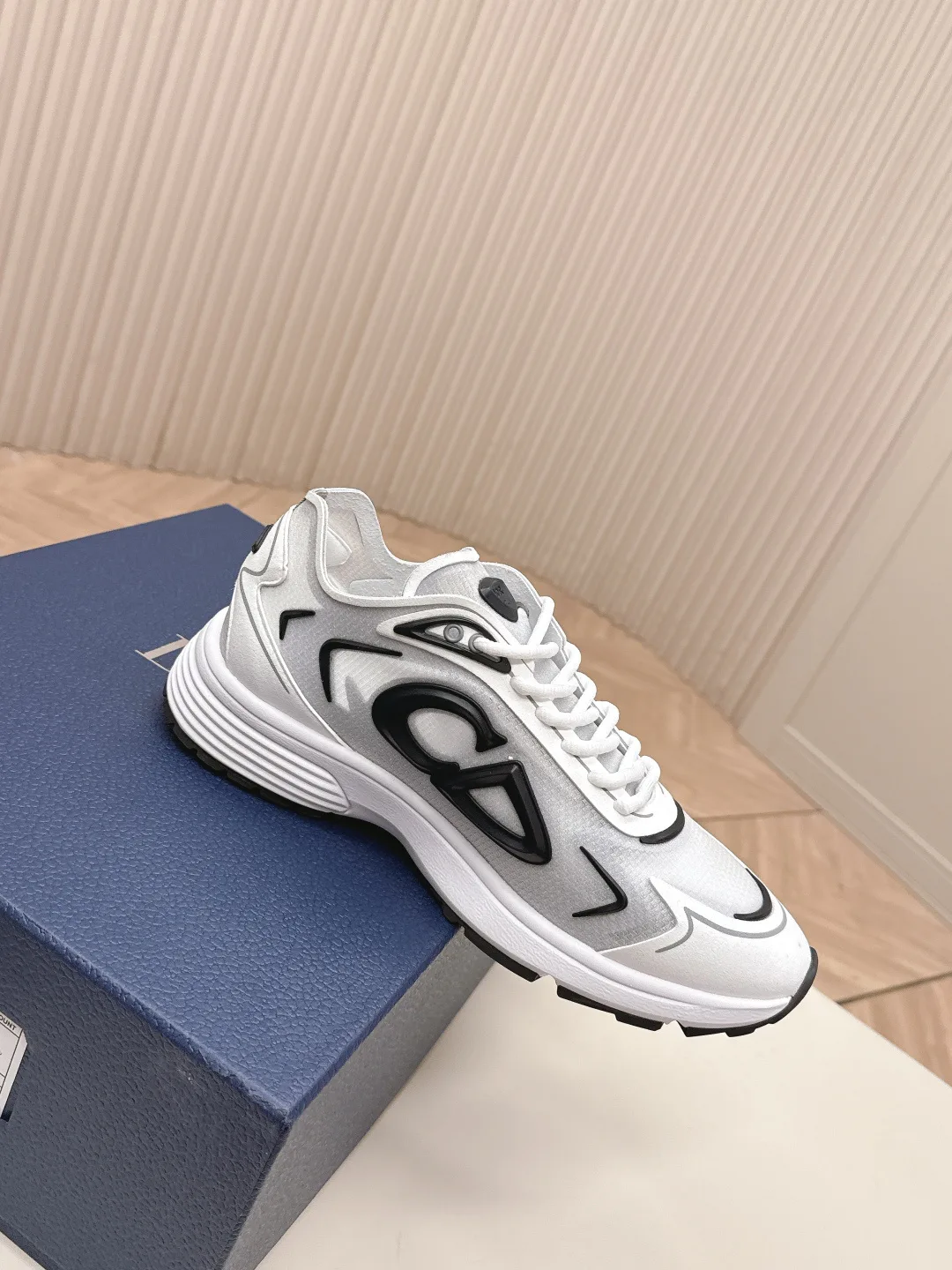 Кроссовки Мужские Christian Dior 1068633