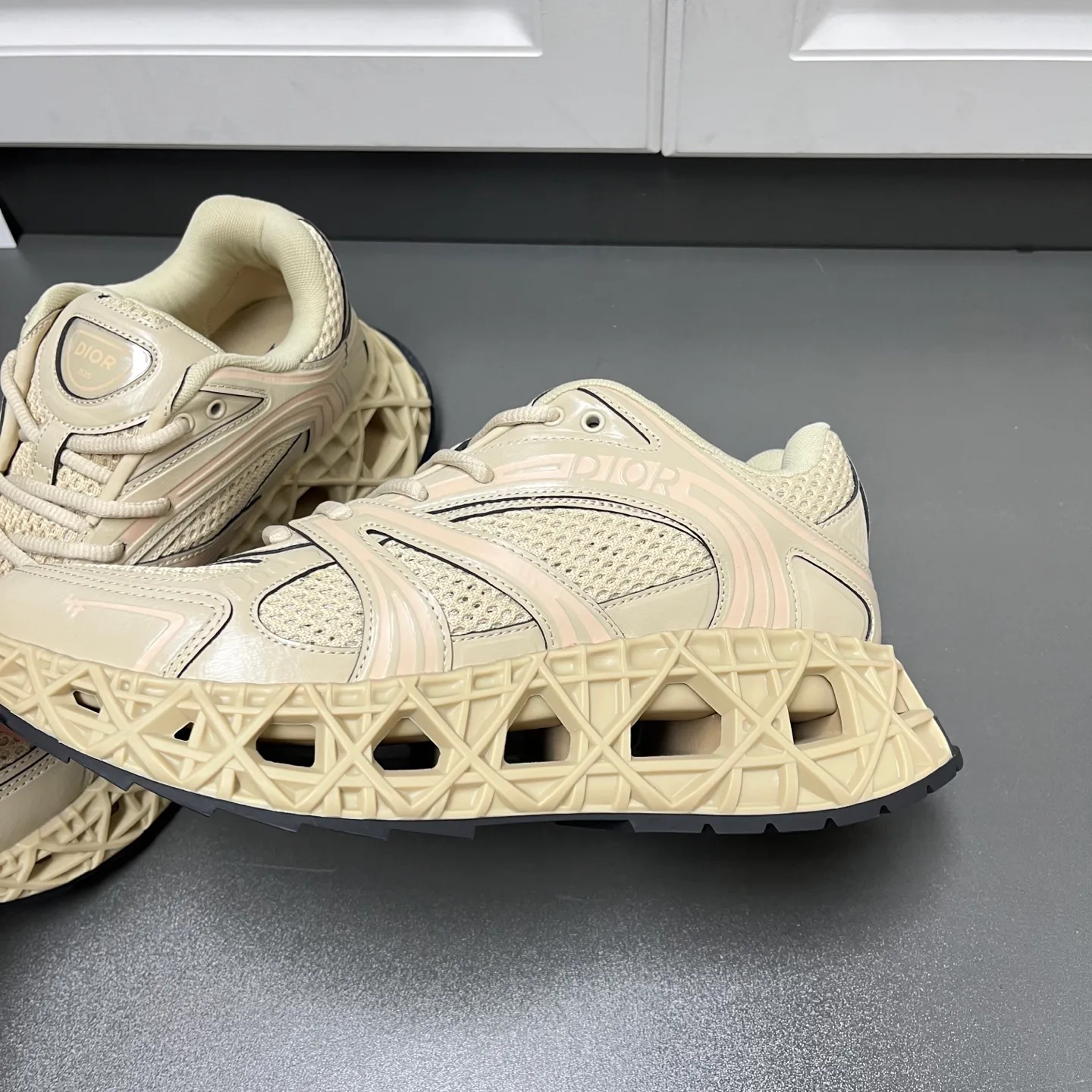 Кроссовки Мужские Christian Dior 11456599