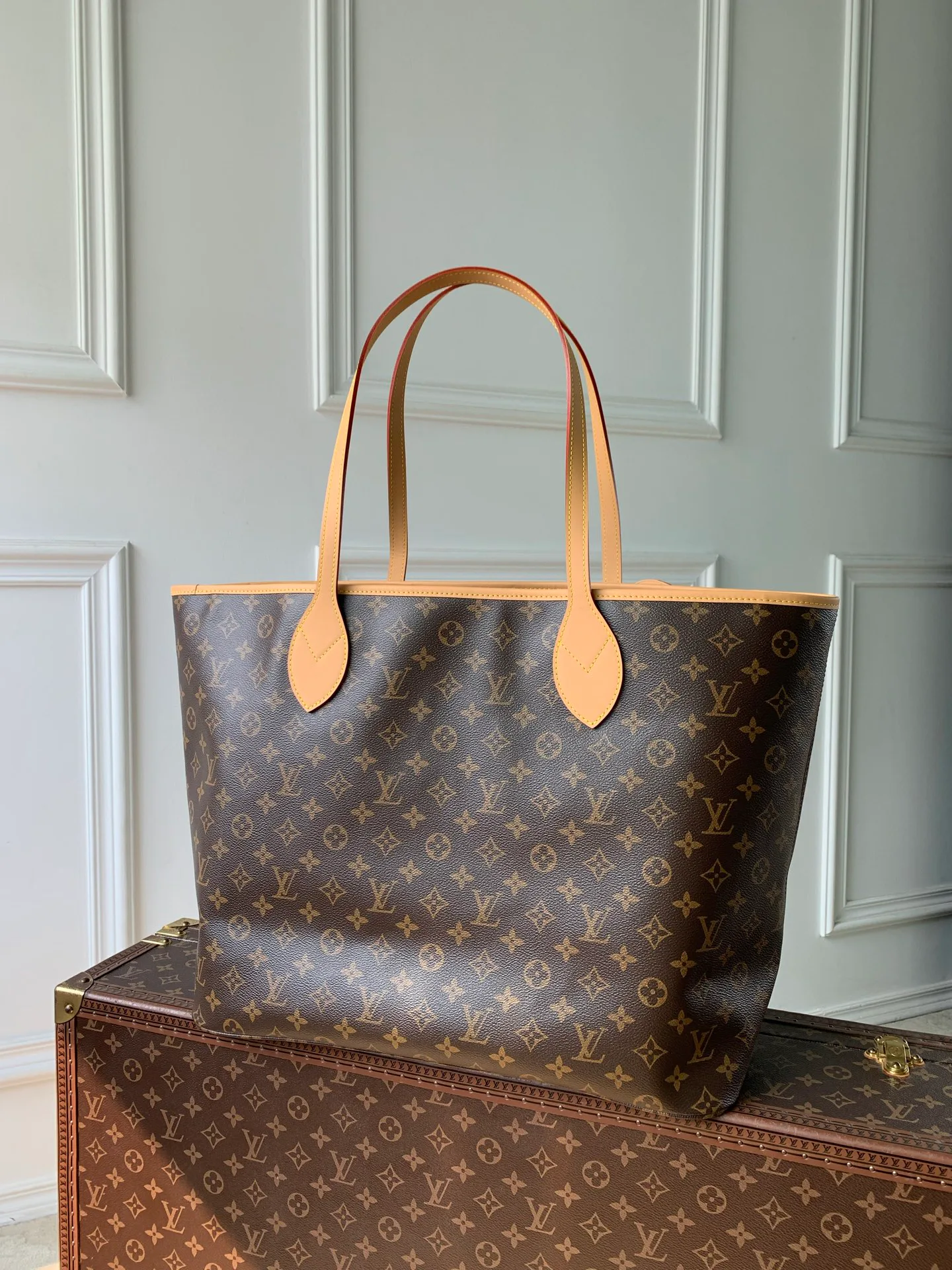 Классические Сумки Женские Louis Vuitton 18147434