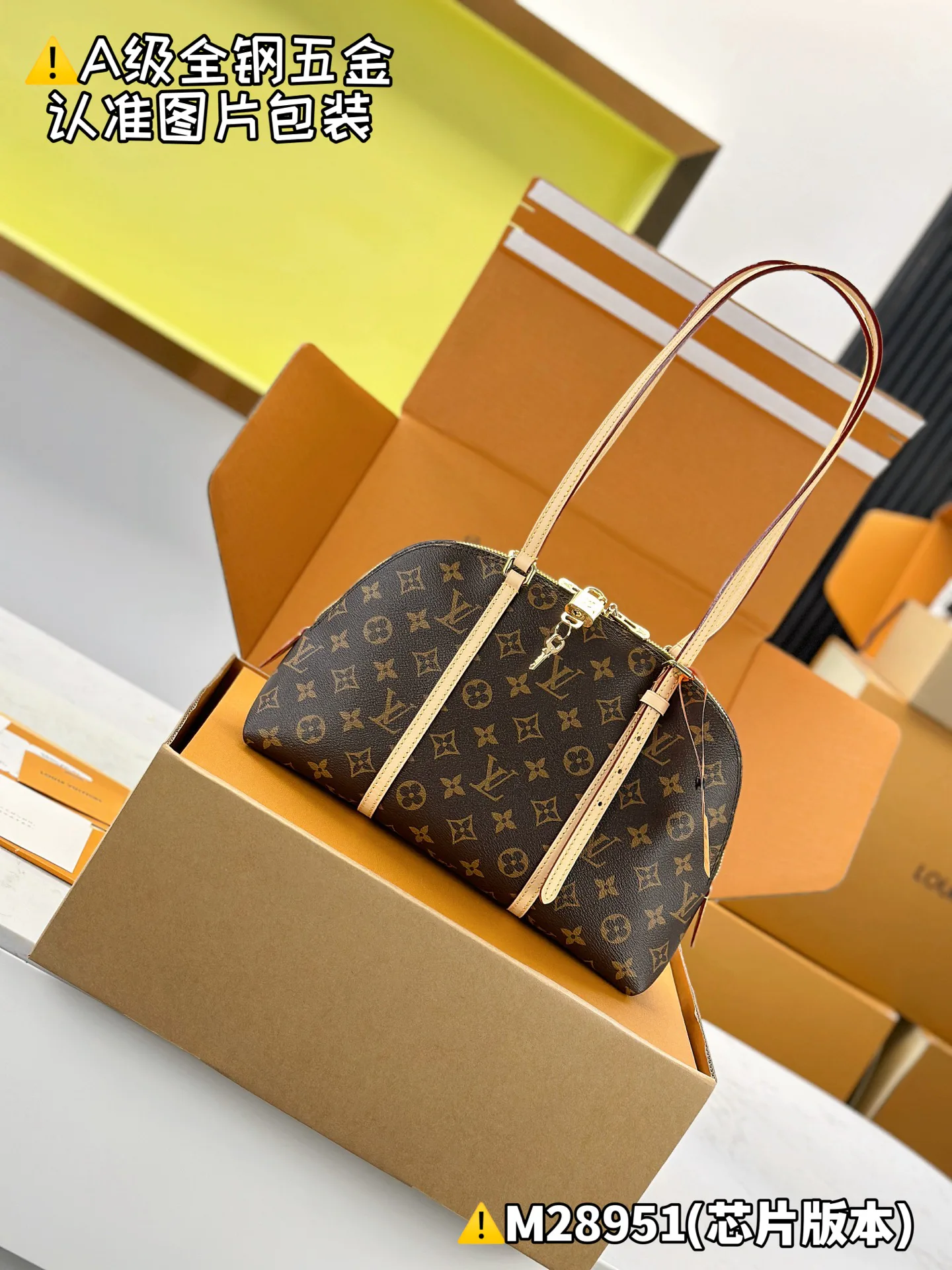 Классические Сумки Женские Louis Vuitton 13558825